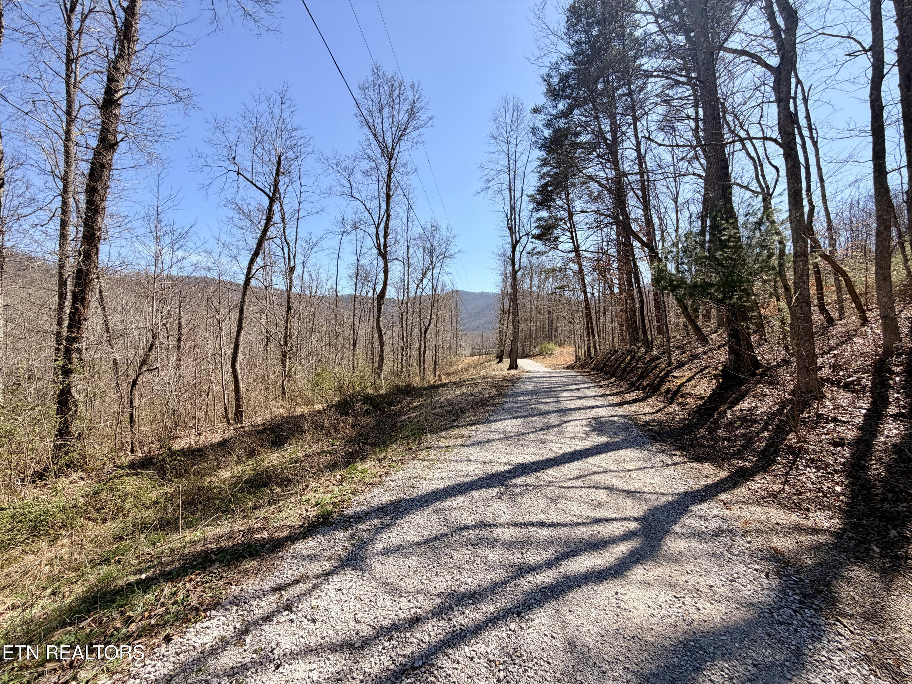 293 Herbert Shannon Road Sunbright TN 37872