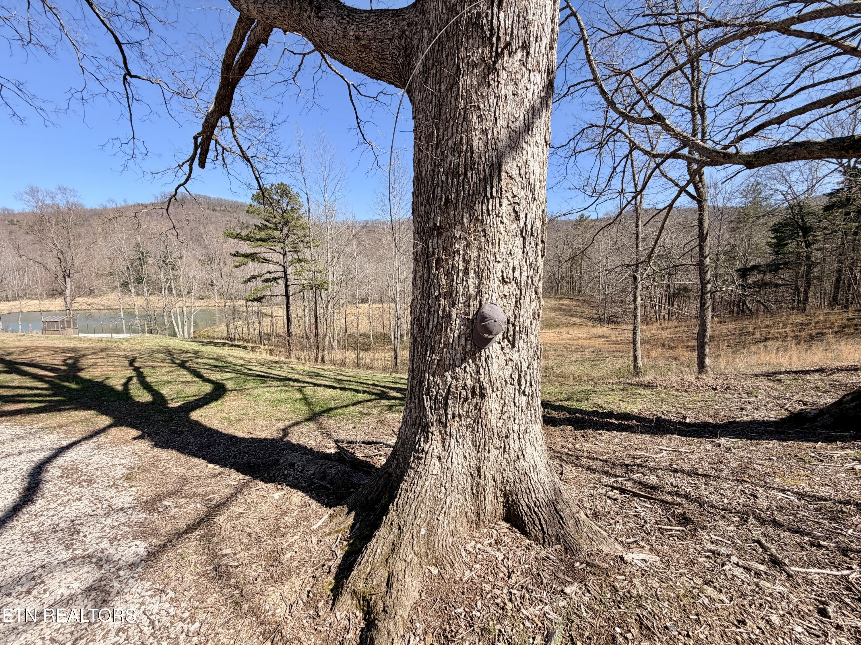 293 Herbert Shannon Road Sunbright TN 37872