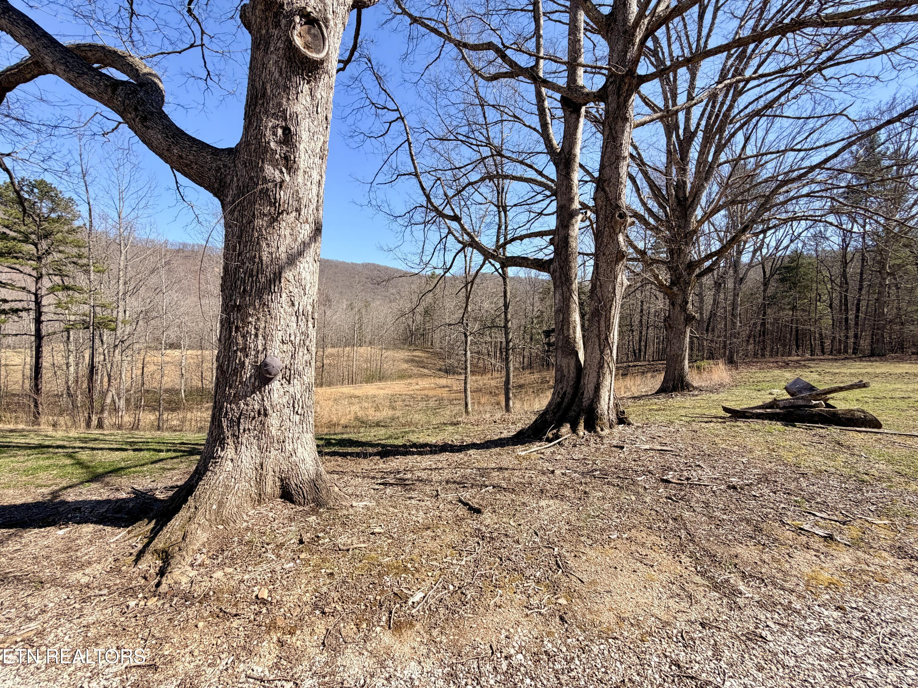 293 Herbert Shannon Road Sunbright TN 37872