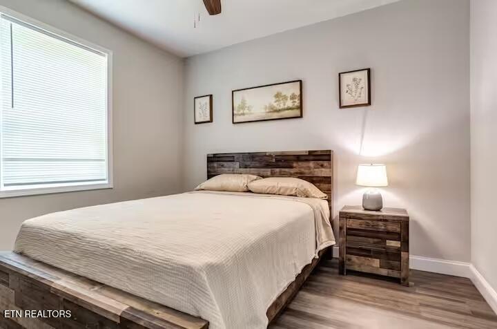 3952 Seahorn Avenue Knoxville TN 37914