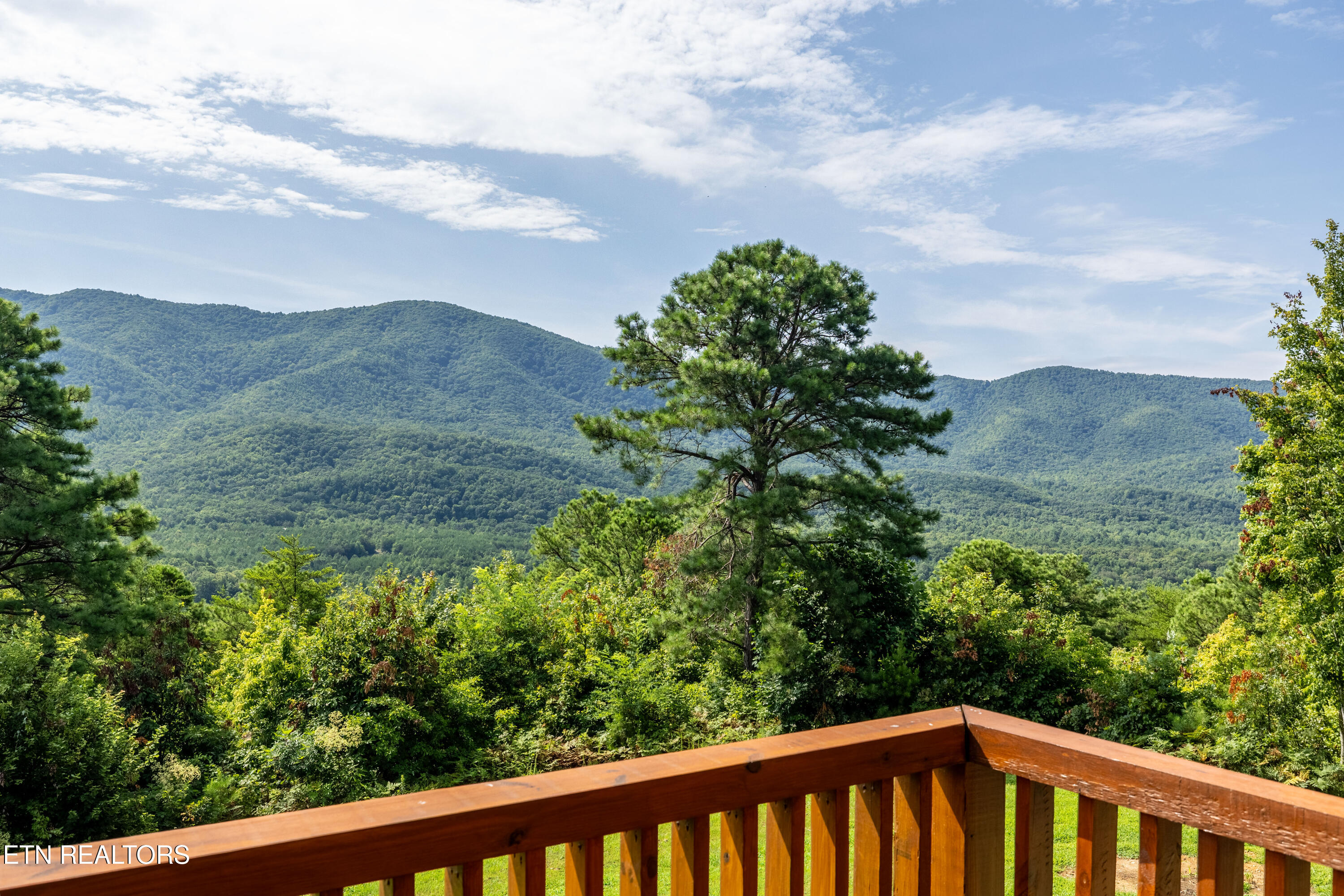 1099 Smithfield Road Tellico Plains TN 37385