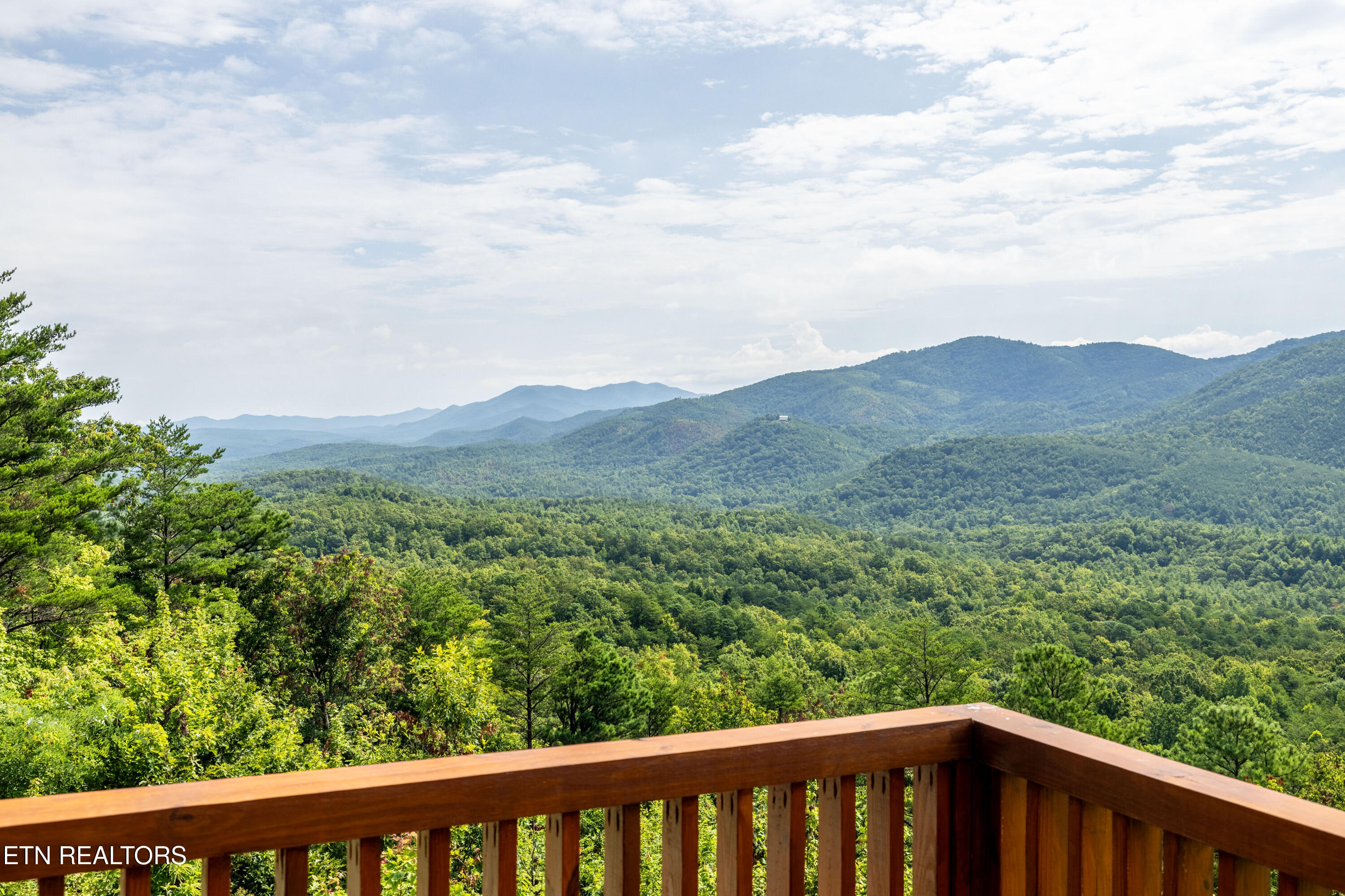 1099 Smithfield Road Tellico Plains TN 37385