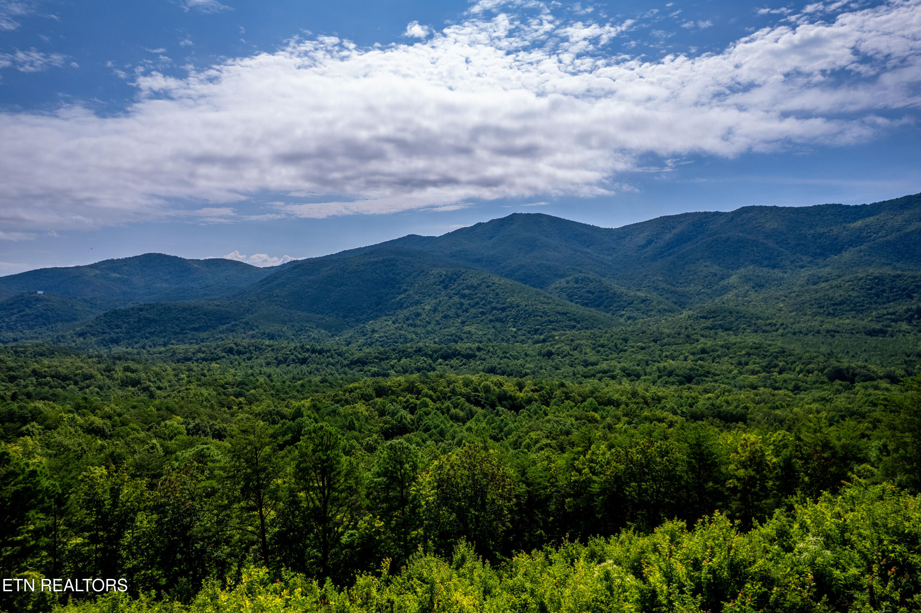 1099 Smithfield Road Tellico Plains TN 37385