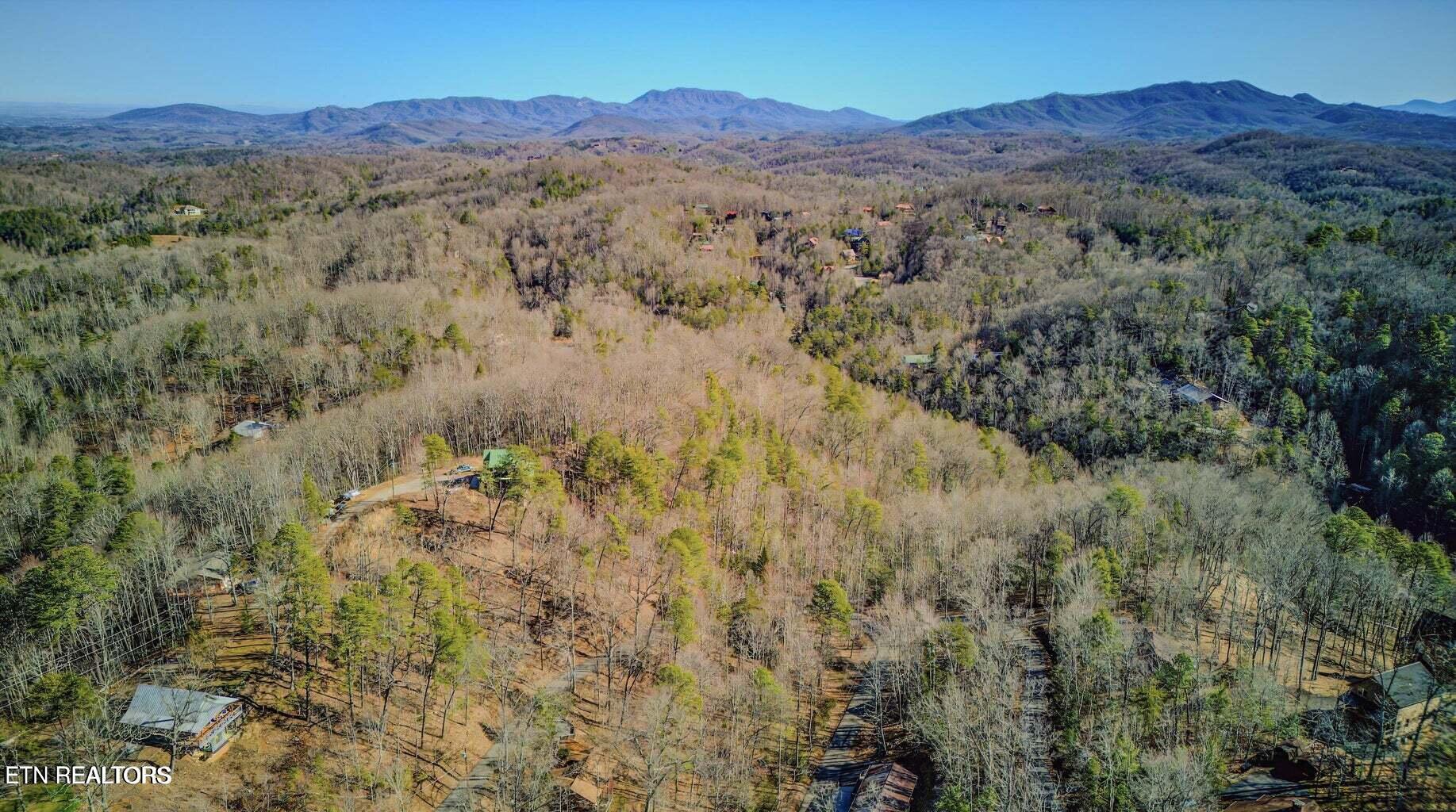 1614 Lake Drive Gatlinburg TN 37738