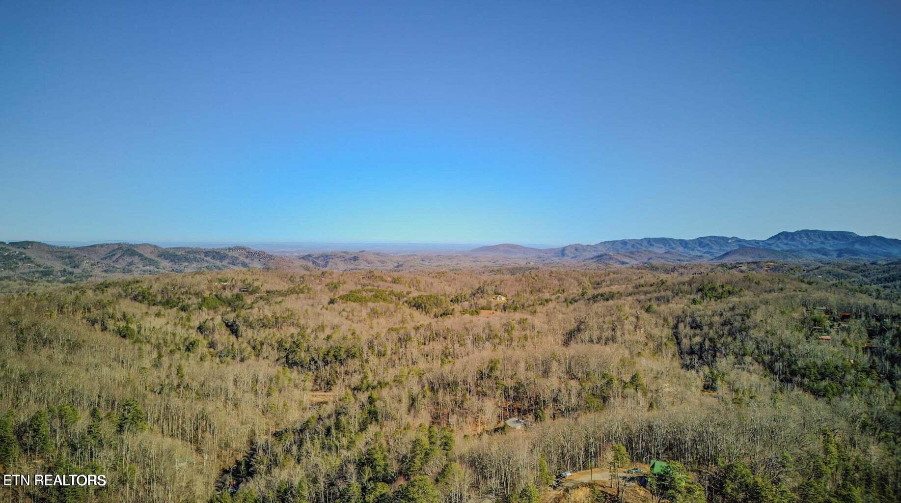 1614 Lake Drive Gatlinburg TN 37738