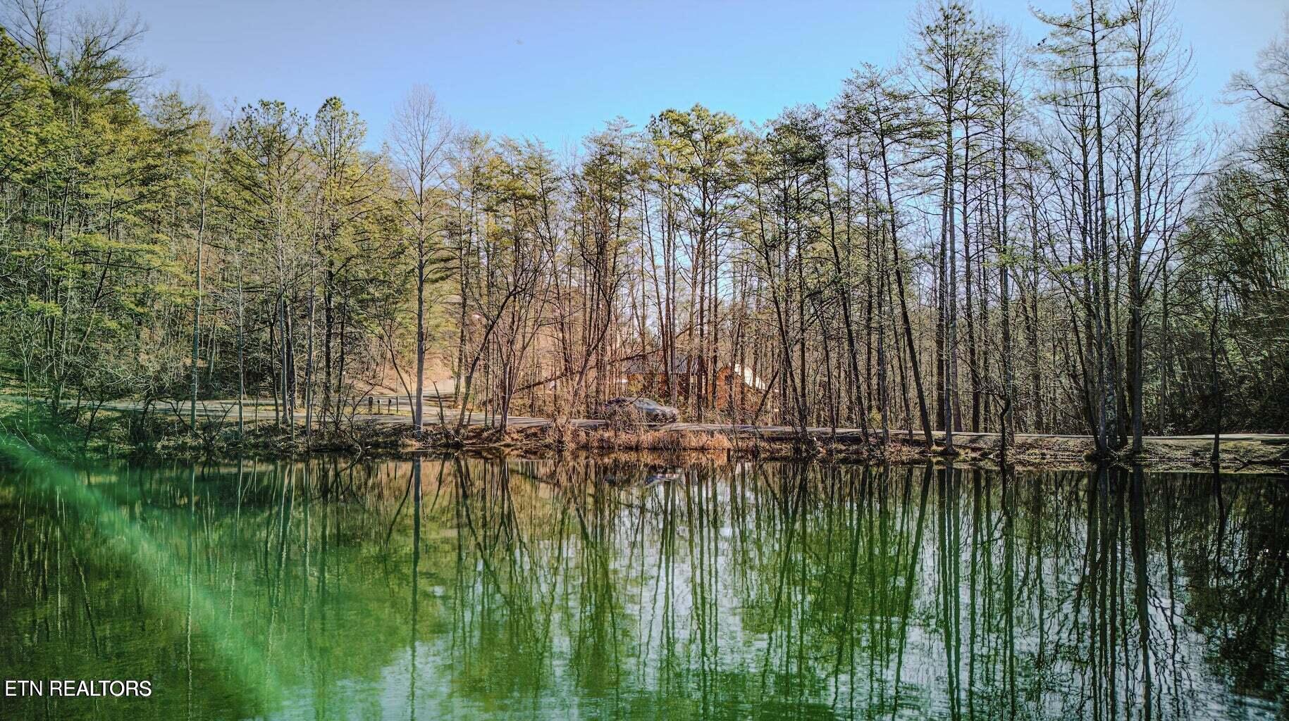 1614 Lake Drive Gatlinburg TN 37738