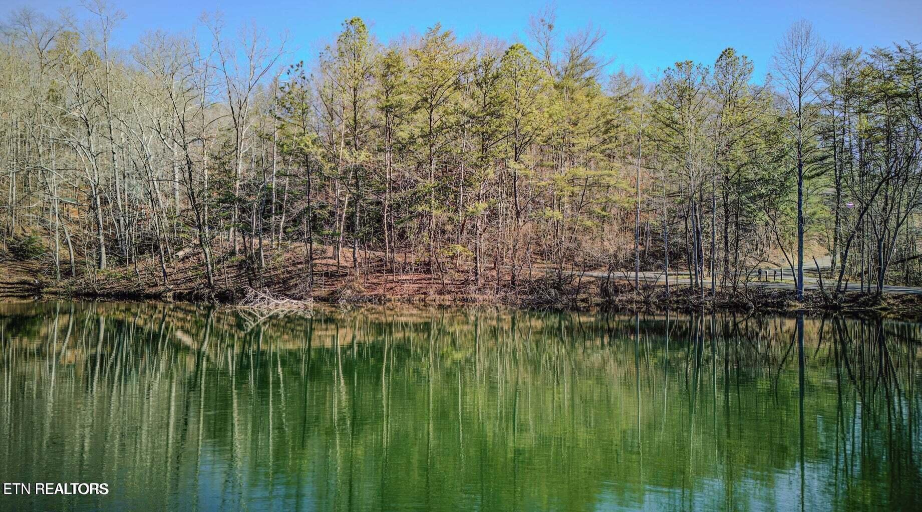 1614 Lake Drive Gatlinburg TN 37738