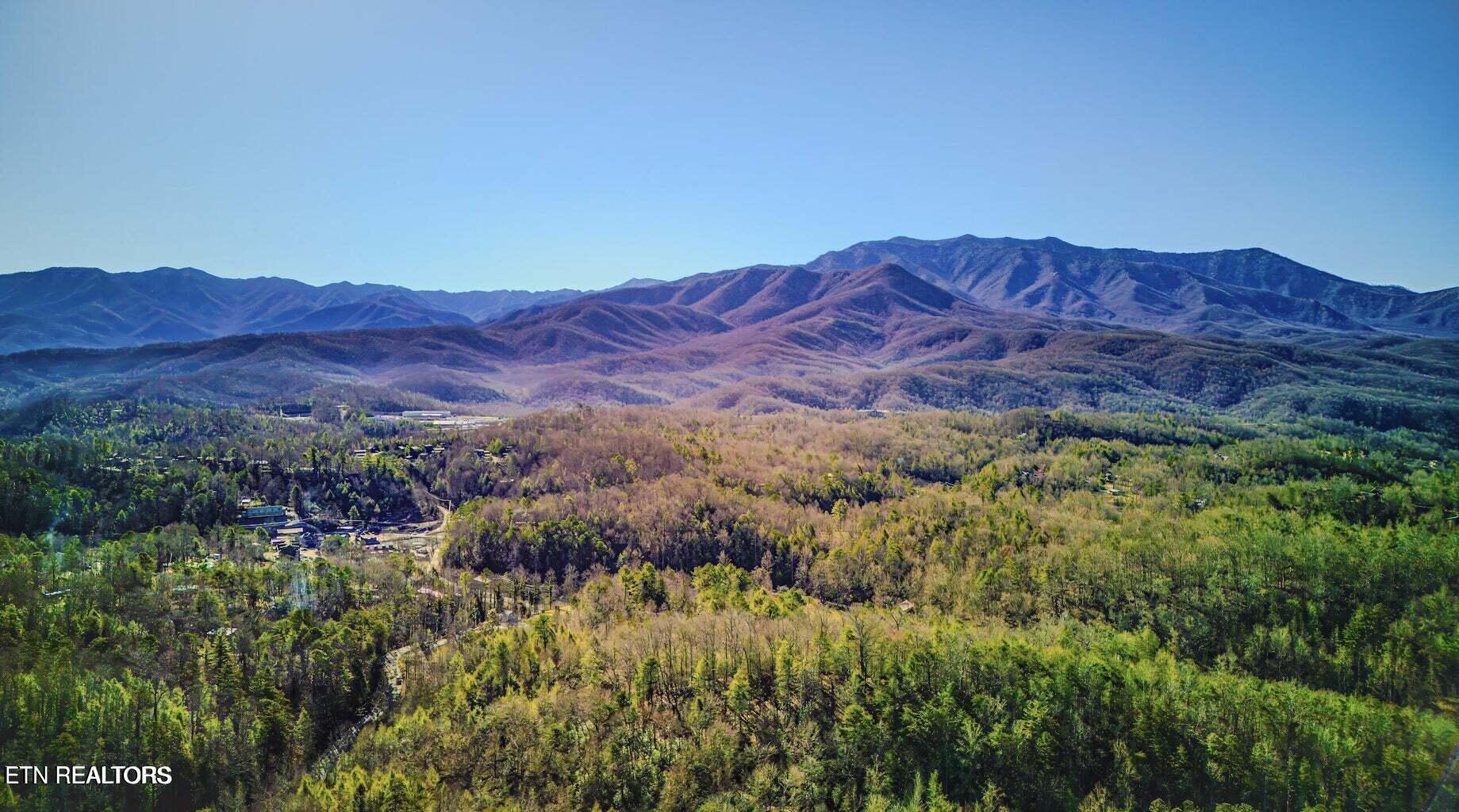 1614 Lake Drive Gatlinburg TN 37738