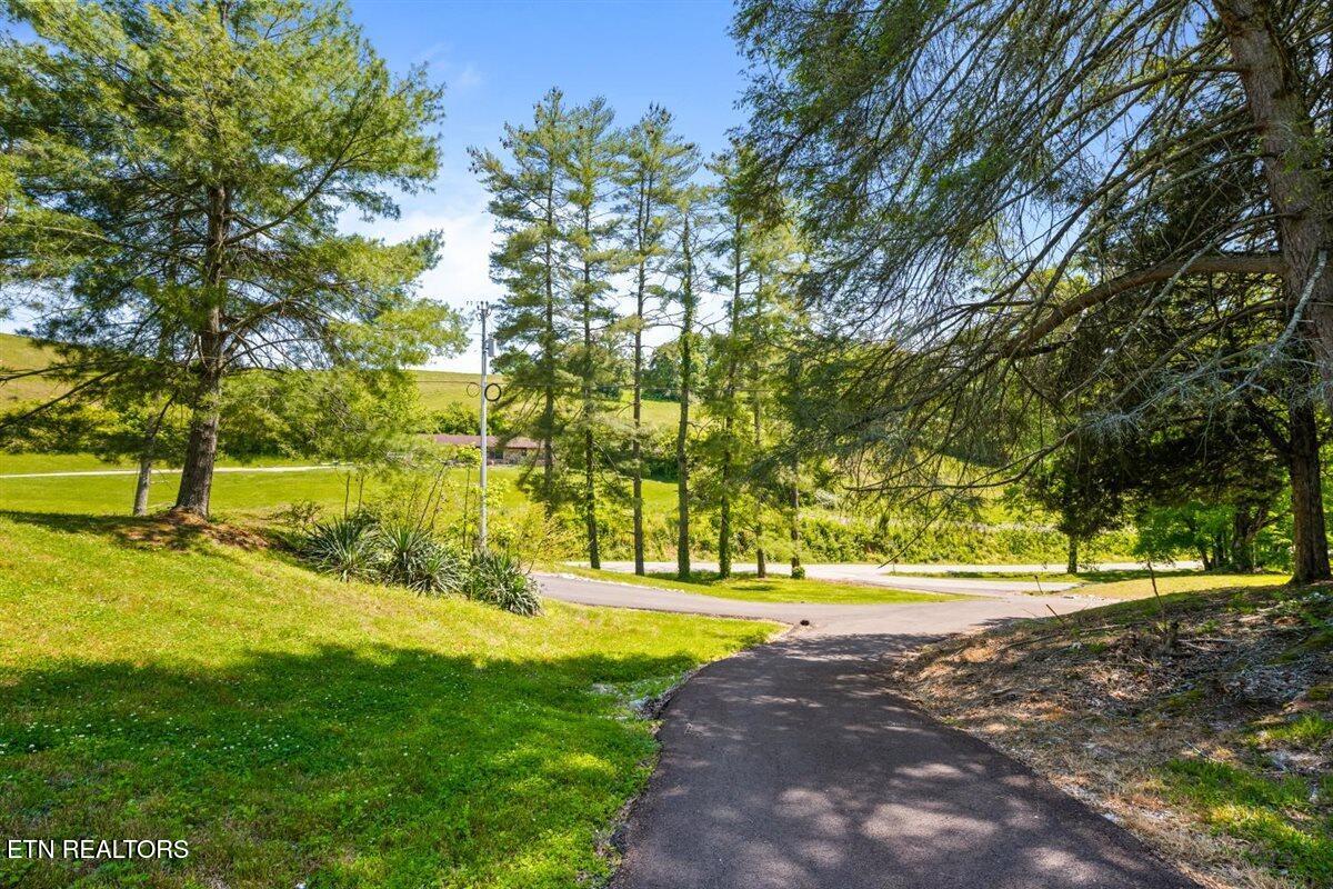 542 Whitman Hollow Road Lafollette TN 37766