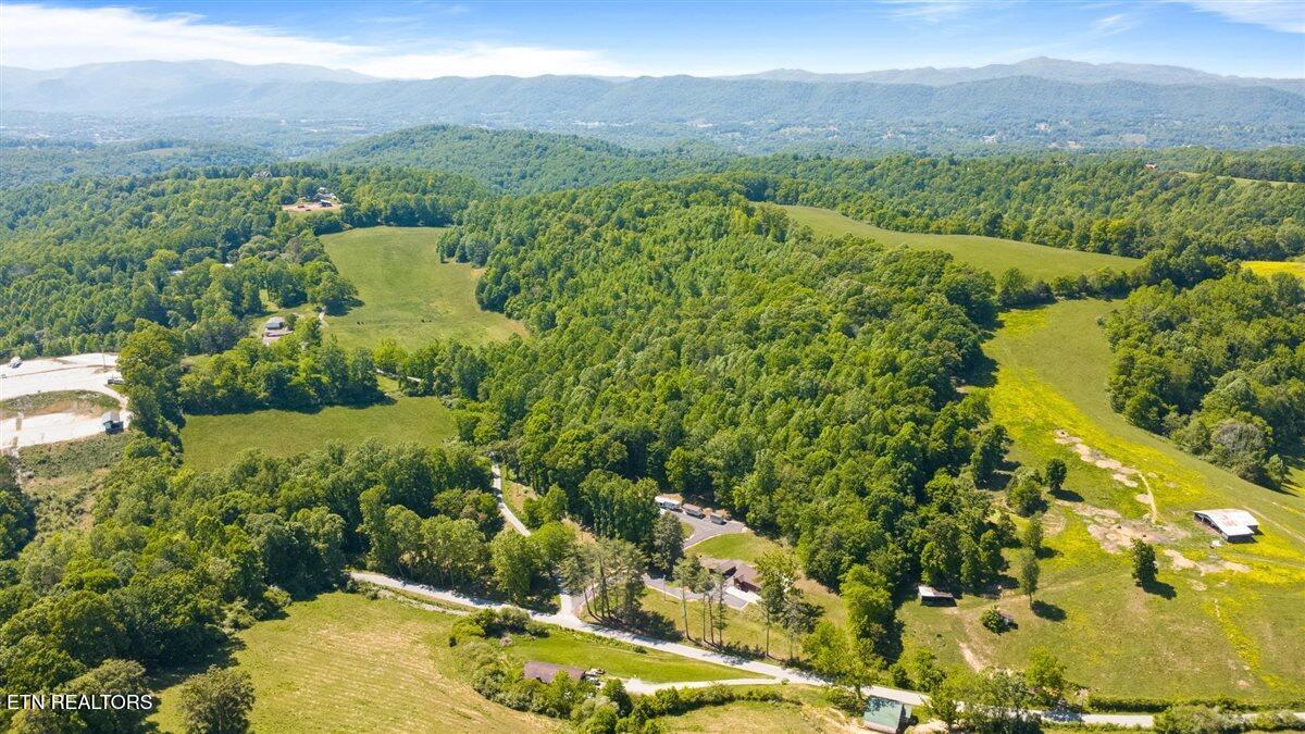 542 Whitman Hollow Road Lafollette TN 37766