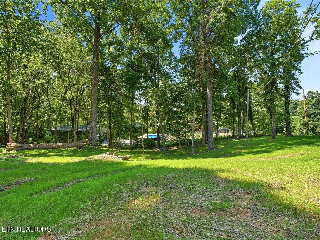 1514 Pleasant View Drive Talbott TN 37877