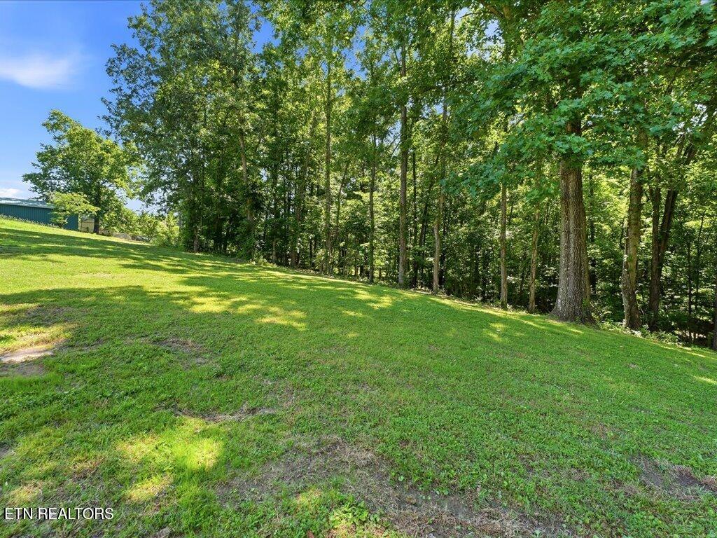 1514 Pleasant View Drive Talbott TN 37877