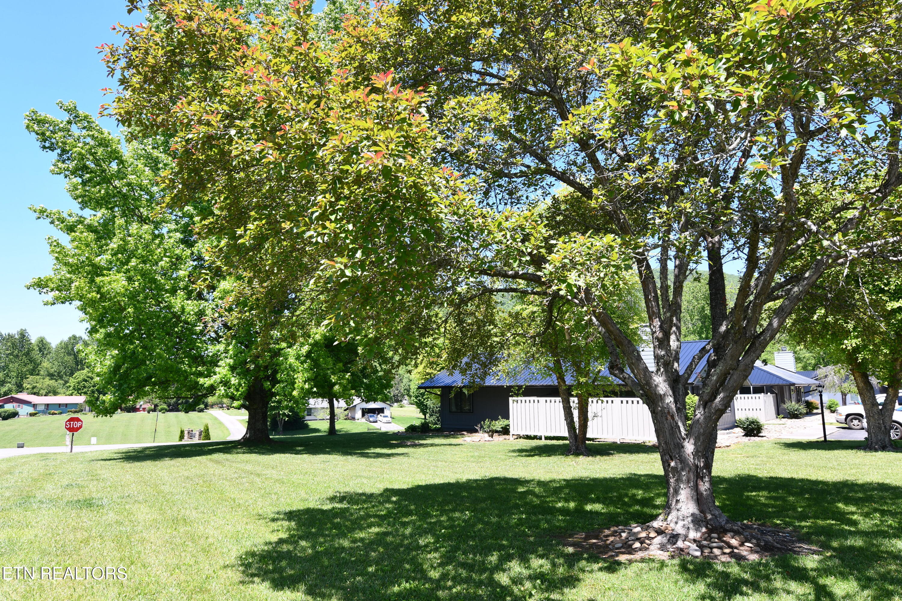 4304 Little Creek Way Cosby TN 37722
