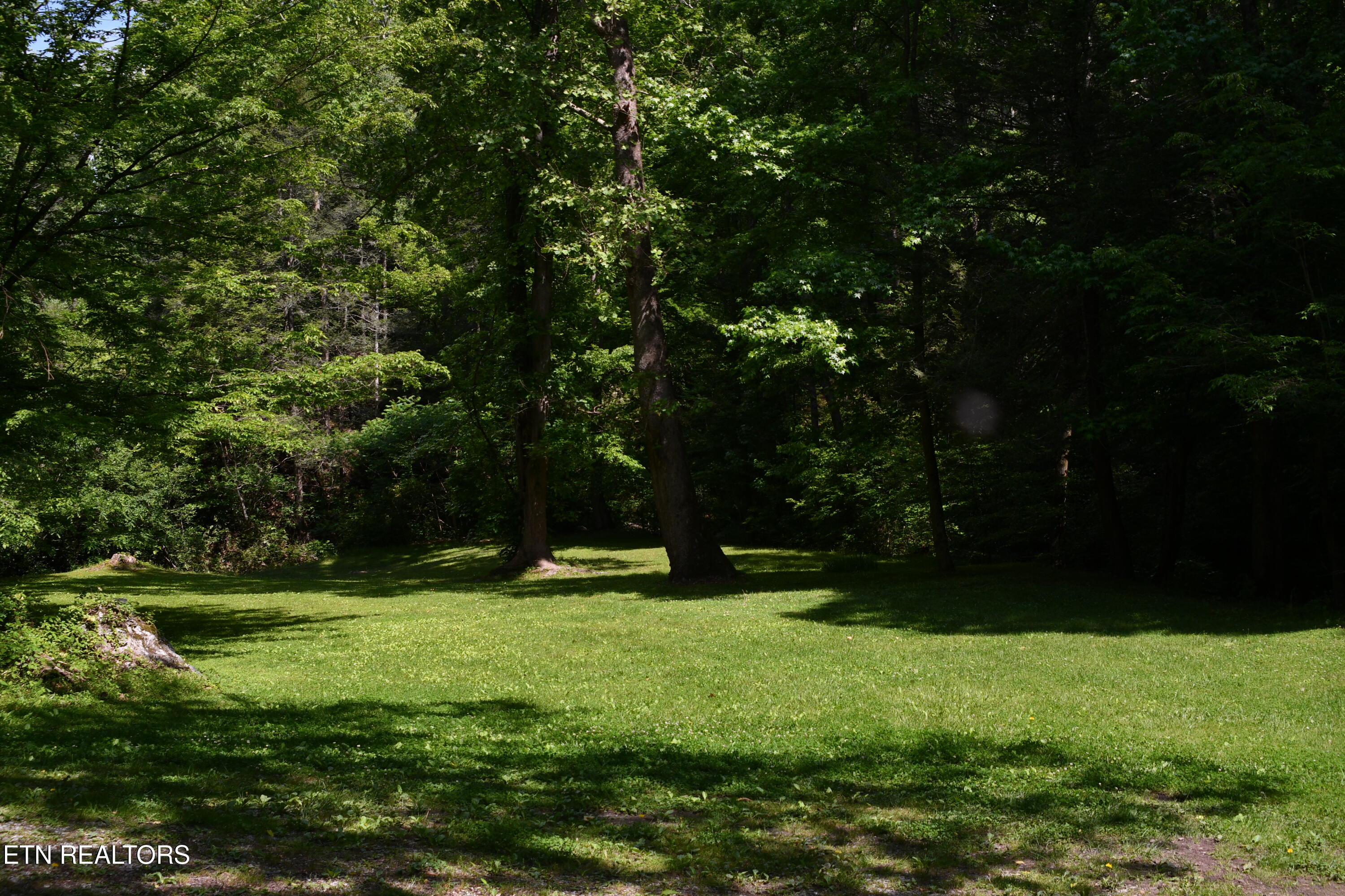 4304 Little Creek Way Cosby TN 37722