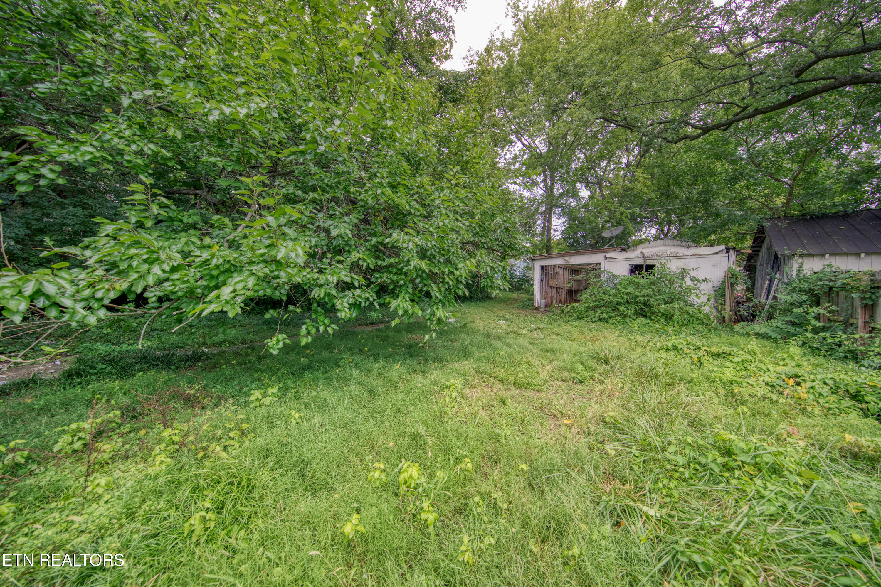 1809 E Glenwood Avenue Knoxville TN 37917