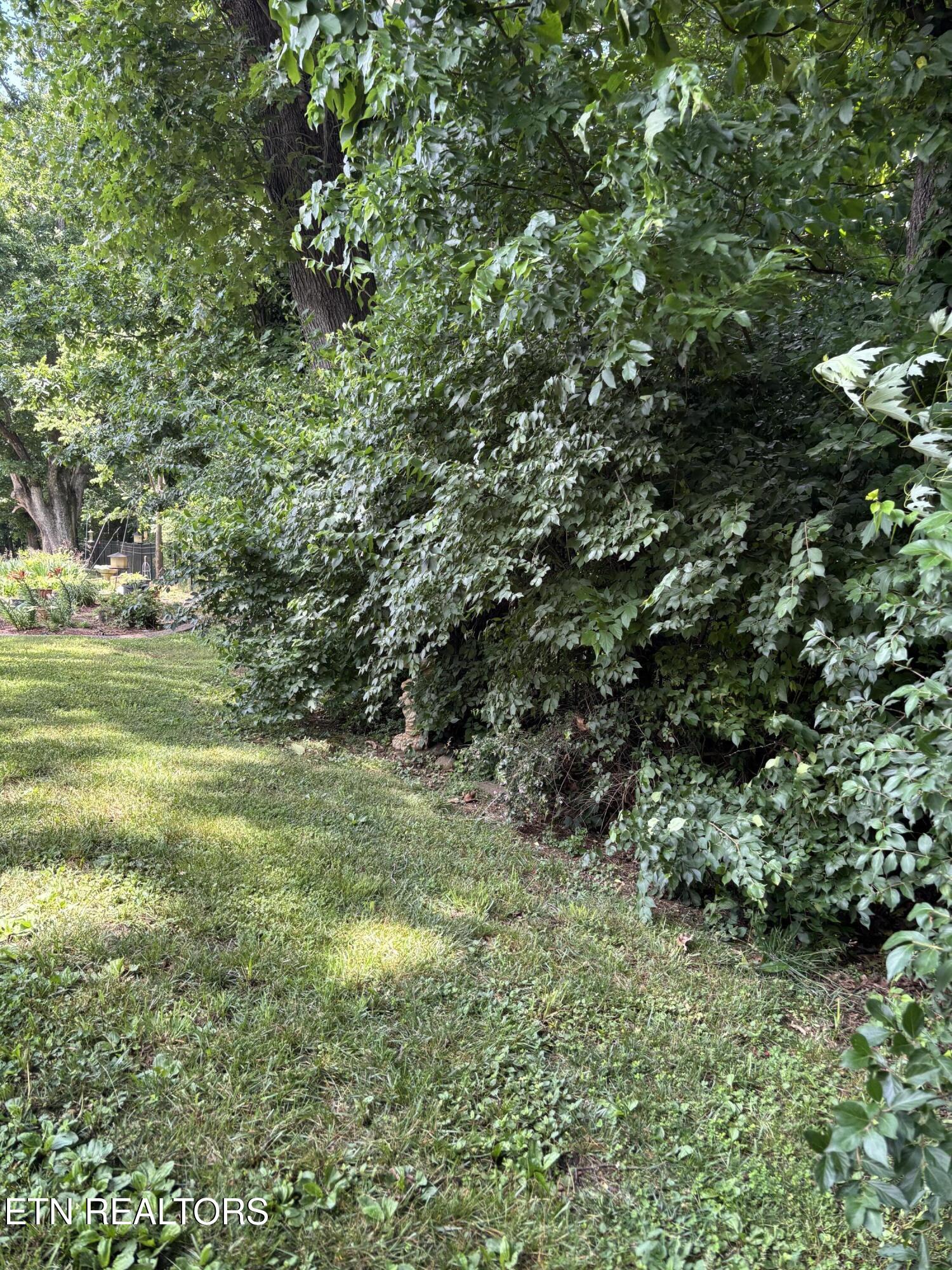 425 Lochmere Drive Morristown TN 37814