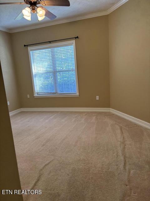 425 Lochmere Drive Morristown TN 37814