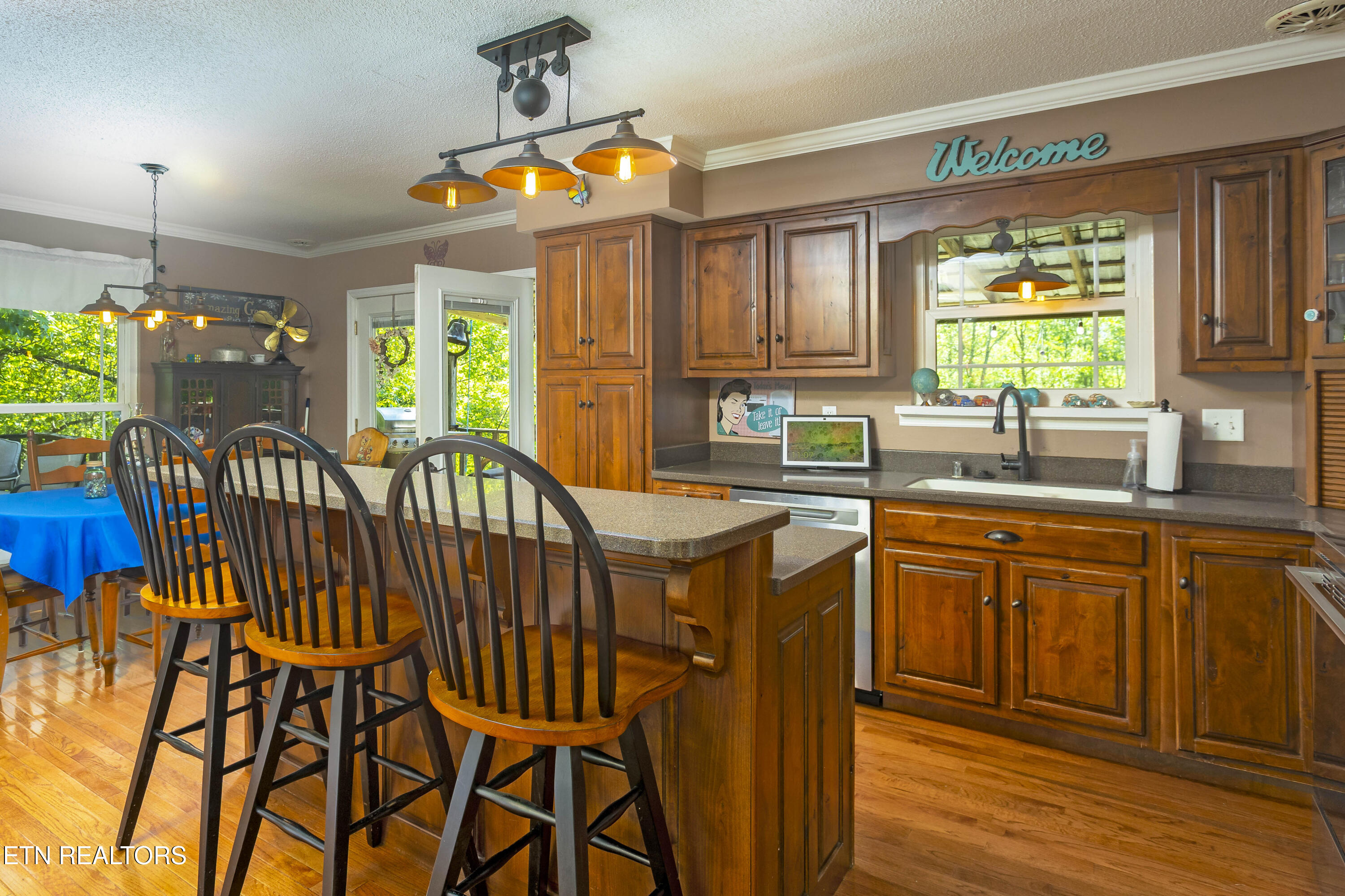 217 Roberts Road Spring City TN 37381