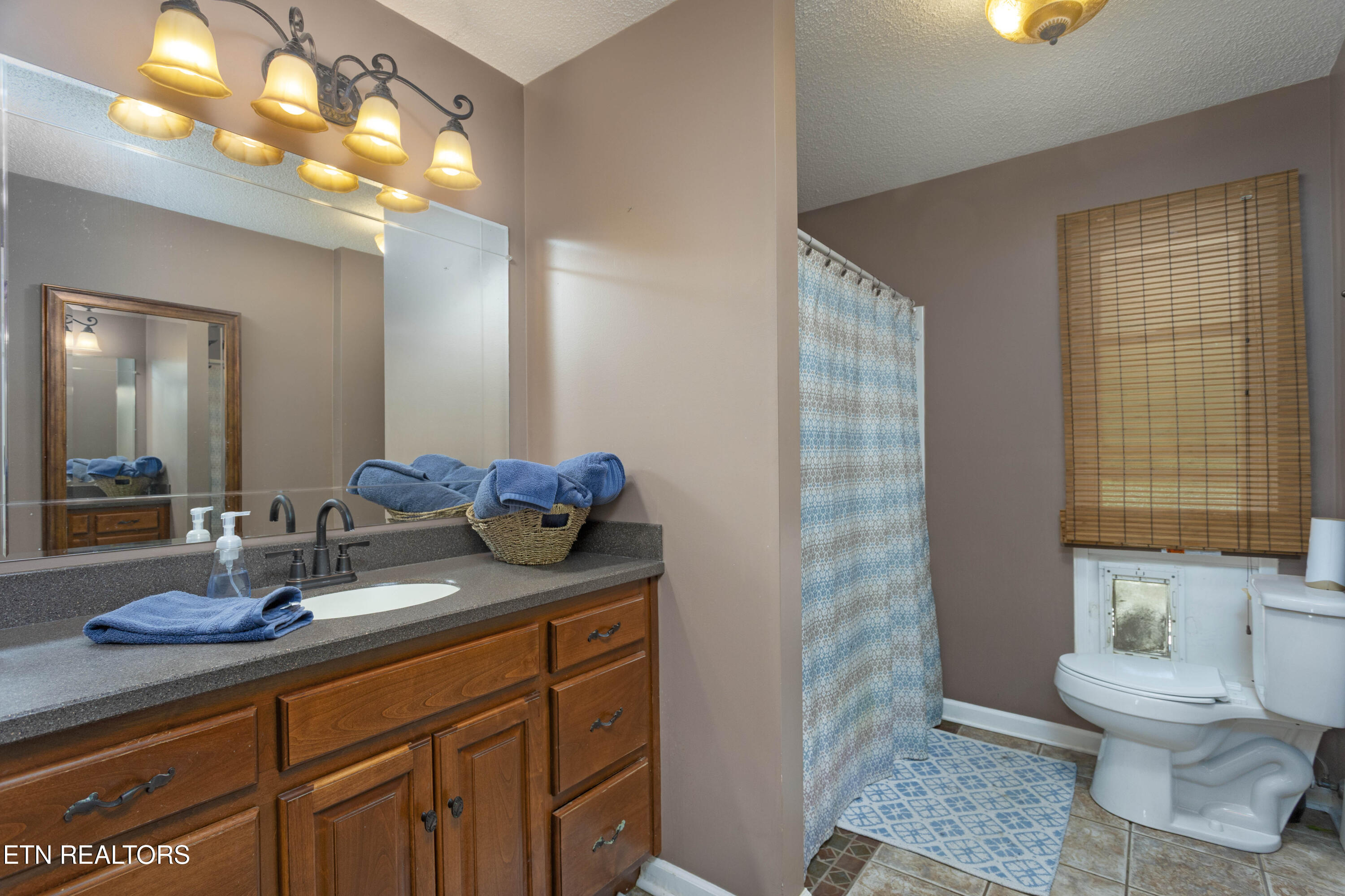 217 Roberts Road Spring City TN 37381