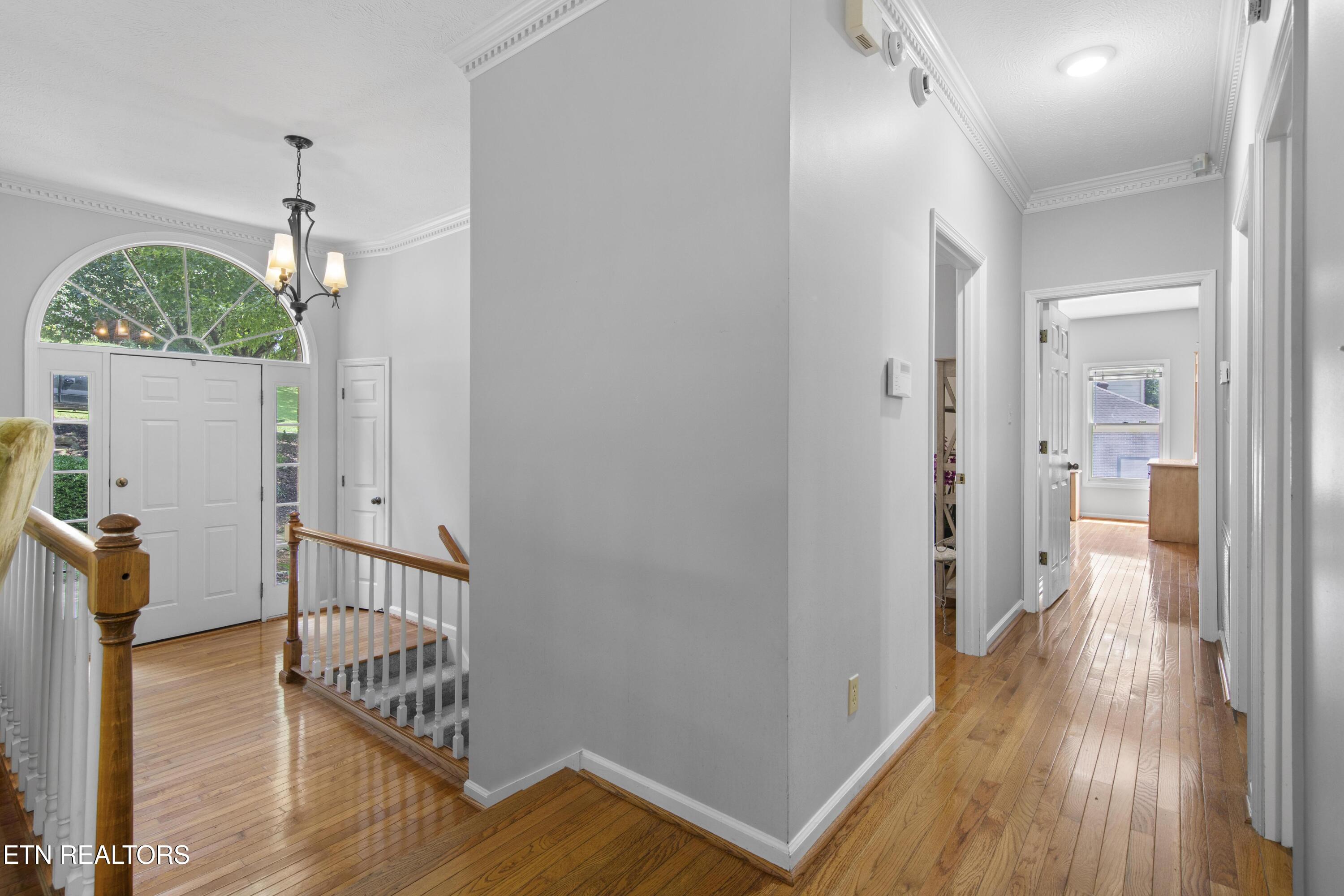 10605 Summit Mountain Court Knoxville TN 37922