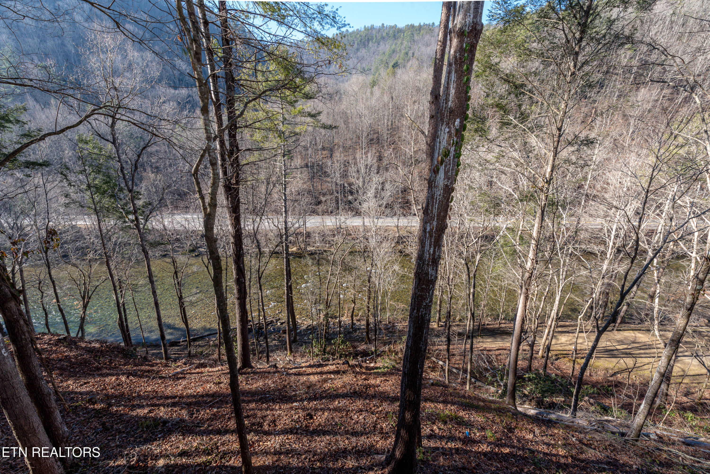 212 & 216 Parkline Way Townsend TN 37882