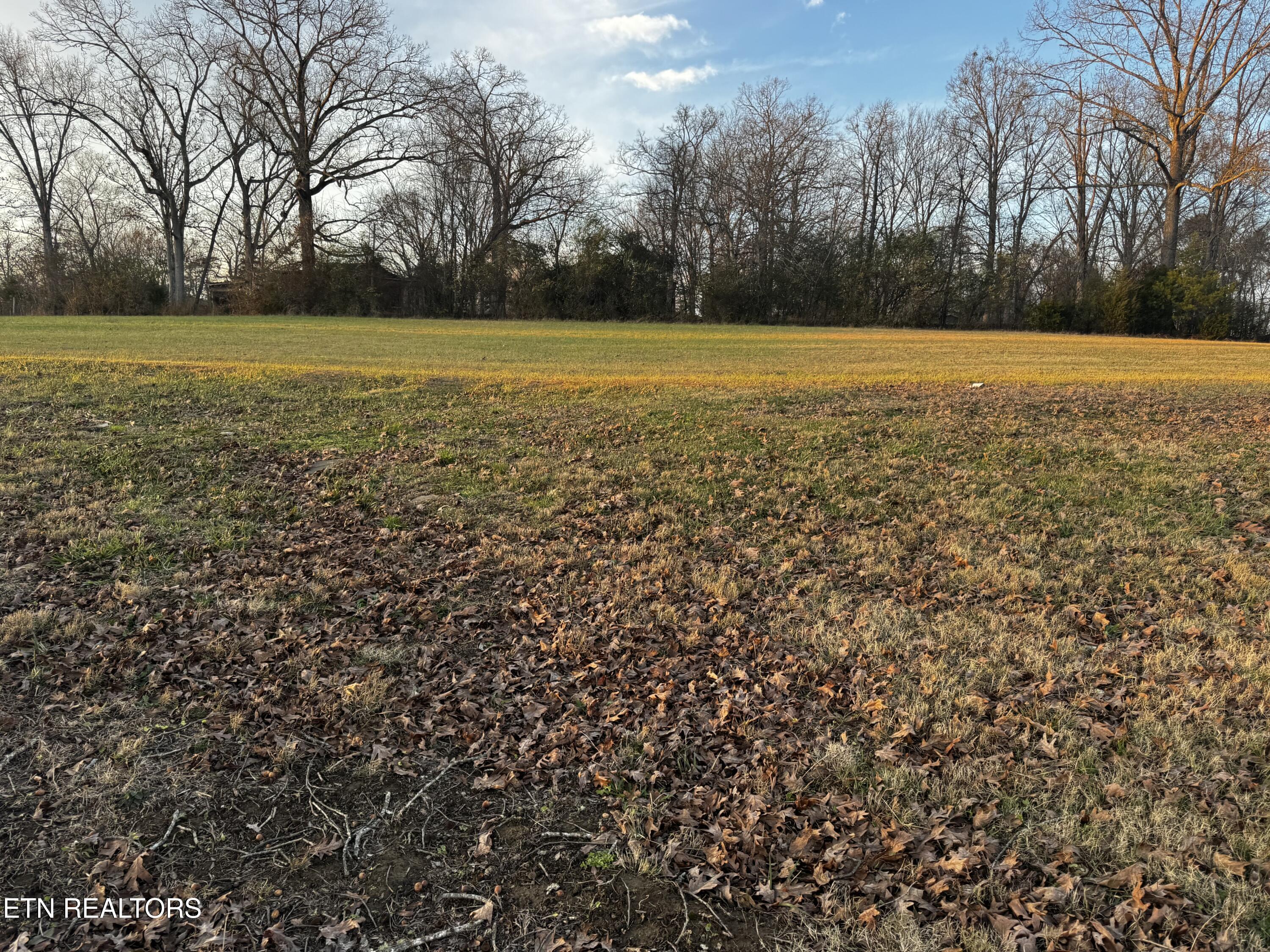 1545 Slover Springs Road Dandridge TN 37725
