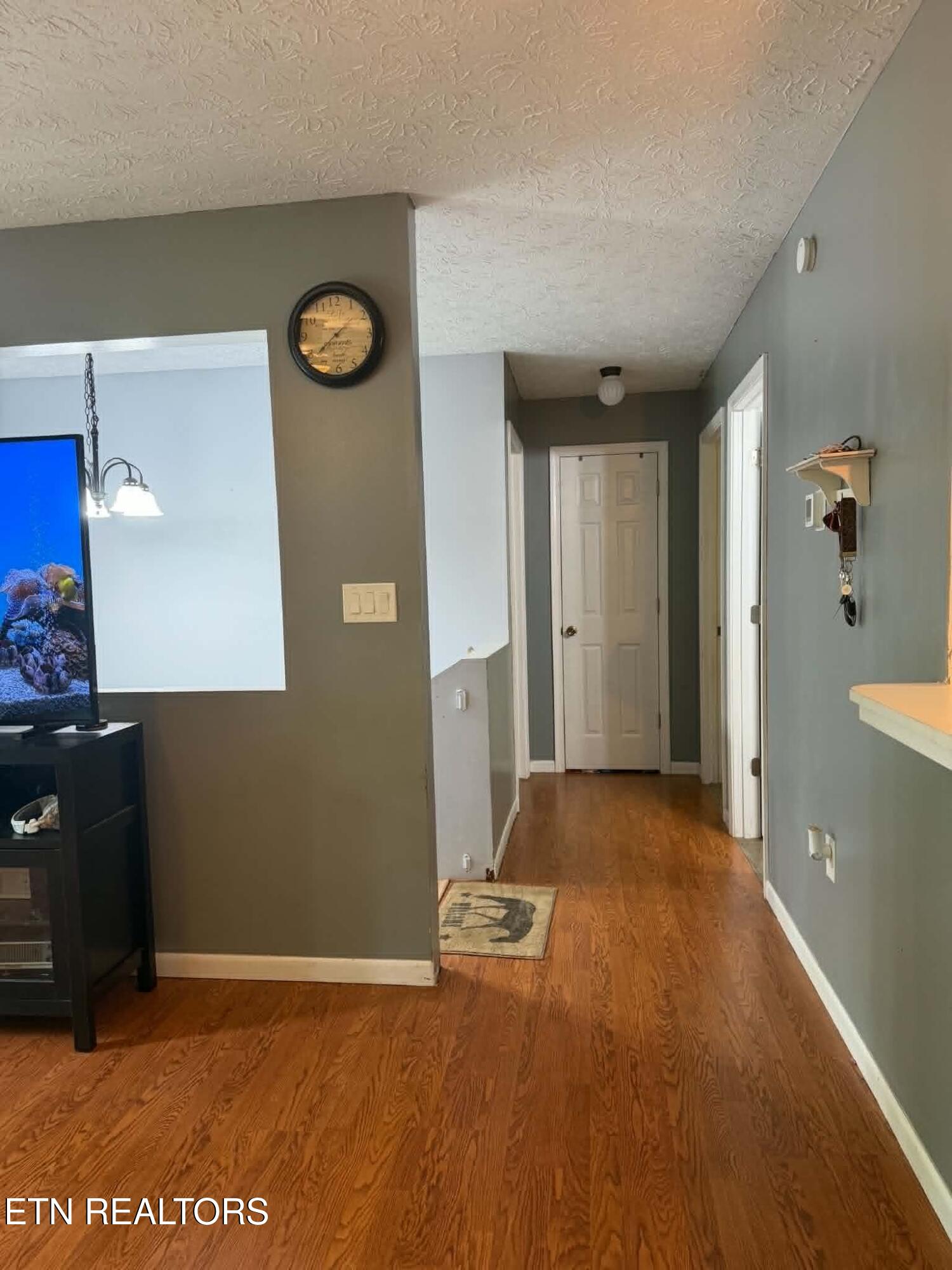 713 Petit Lane Wartburg TN 37887