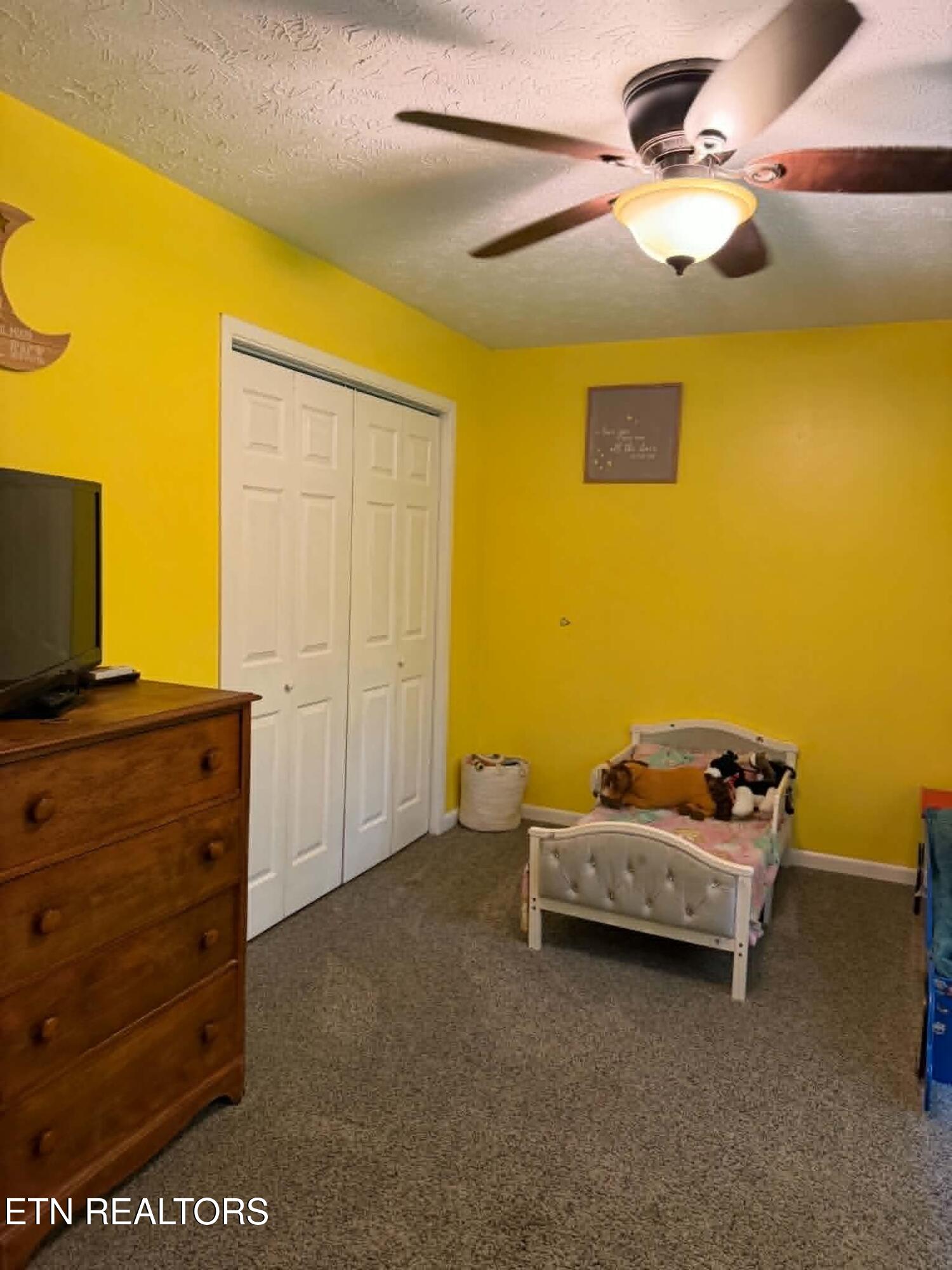 713 Petit Lane Wartburg TN 37887