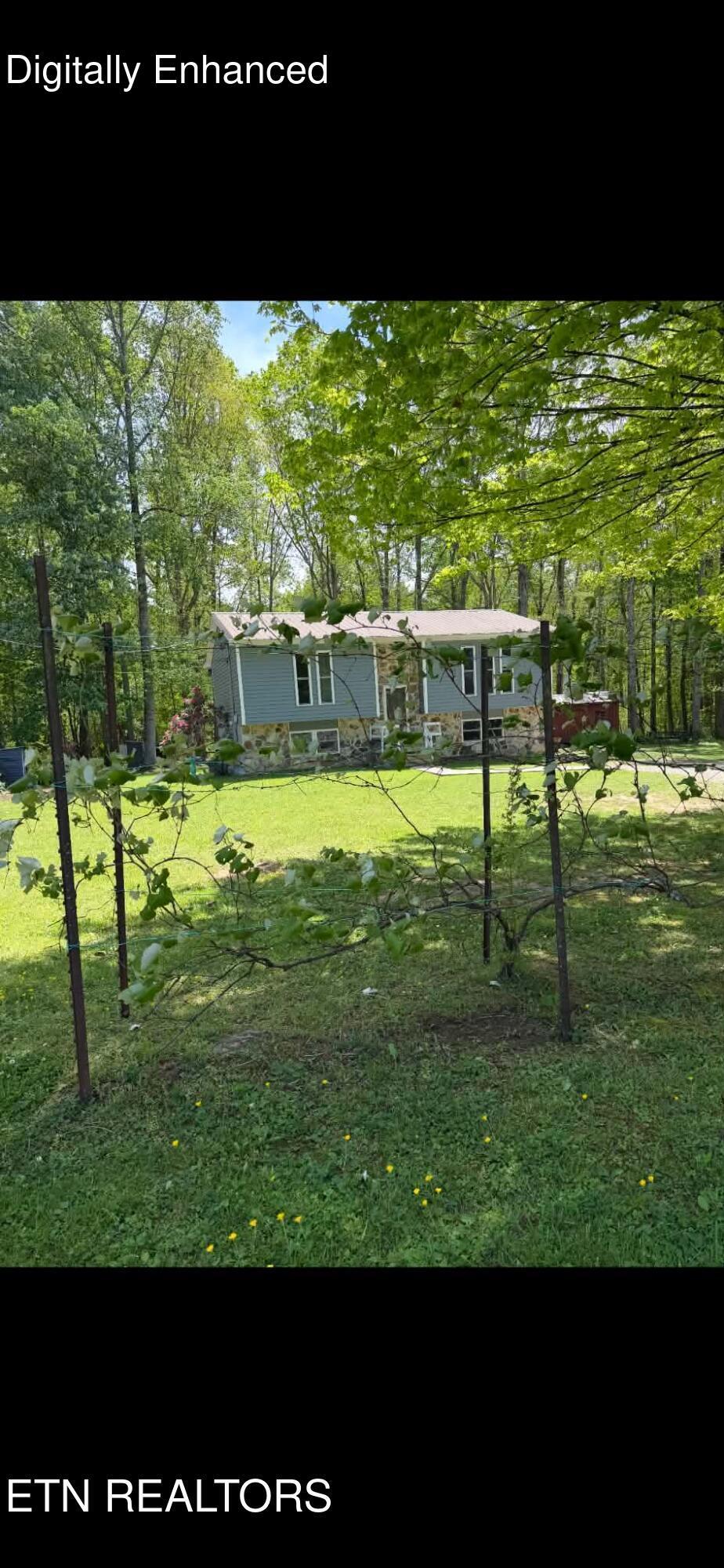 713 Petit Lane Wartburg TN 37887