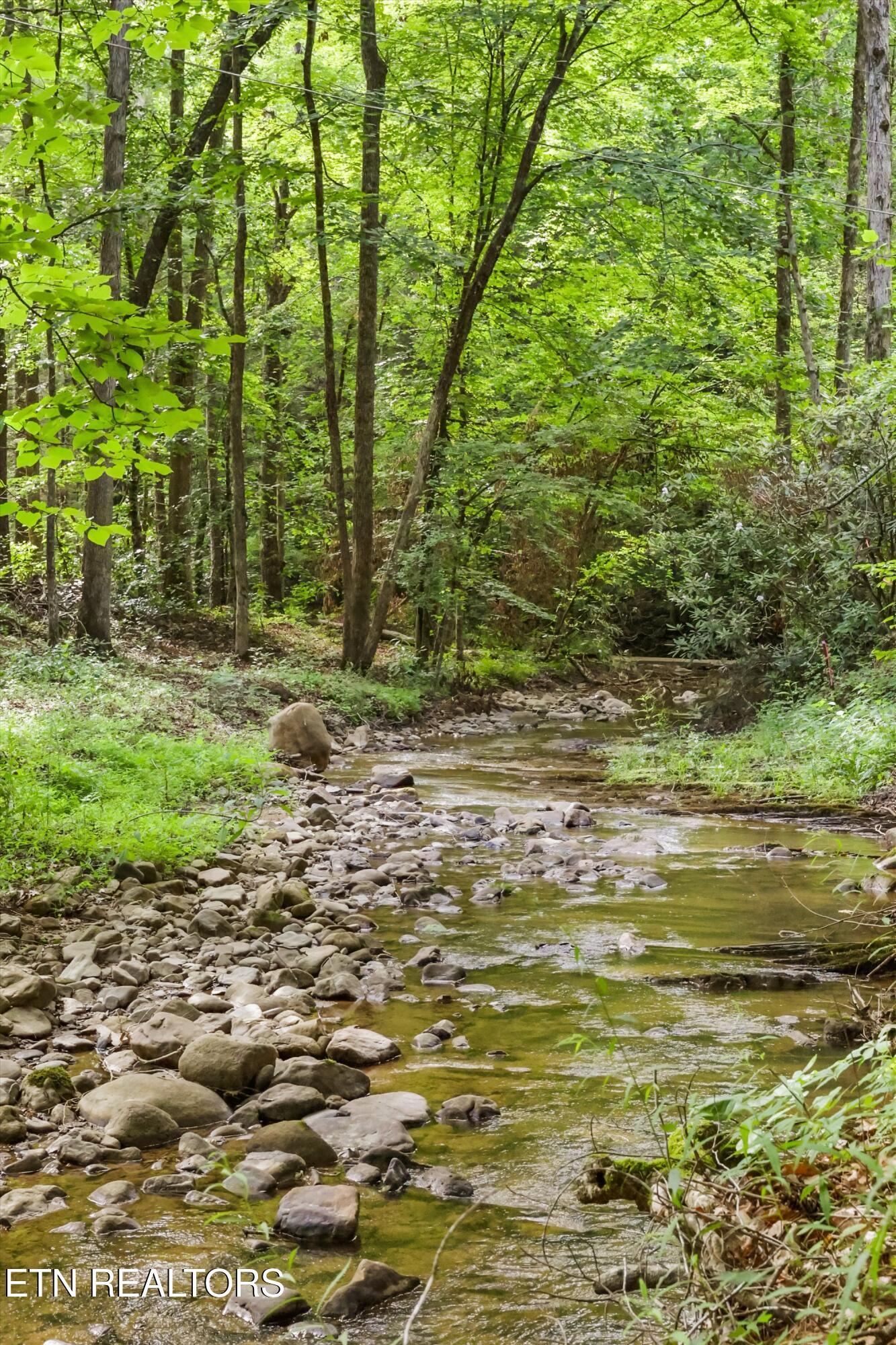 2876 Mcmahan Sawmill Road Sevierville TN 37862