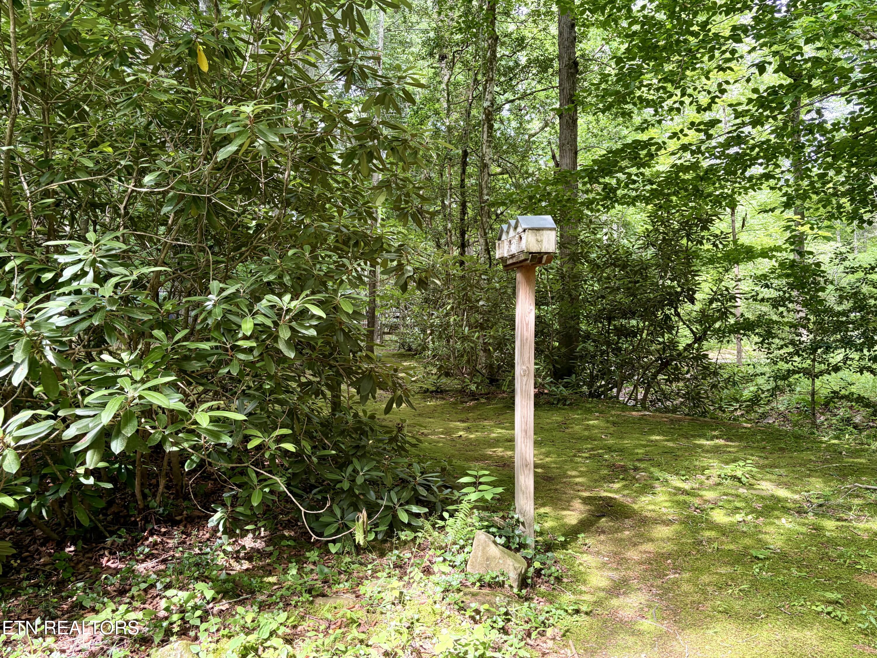 2876 Mcmahan Sawmill Road Sevierville TN 37862