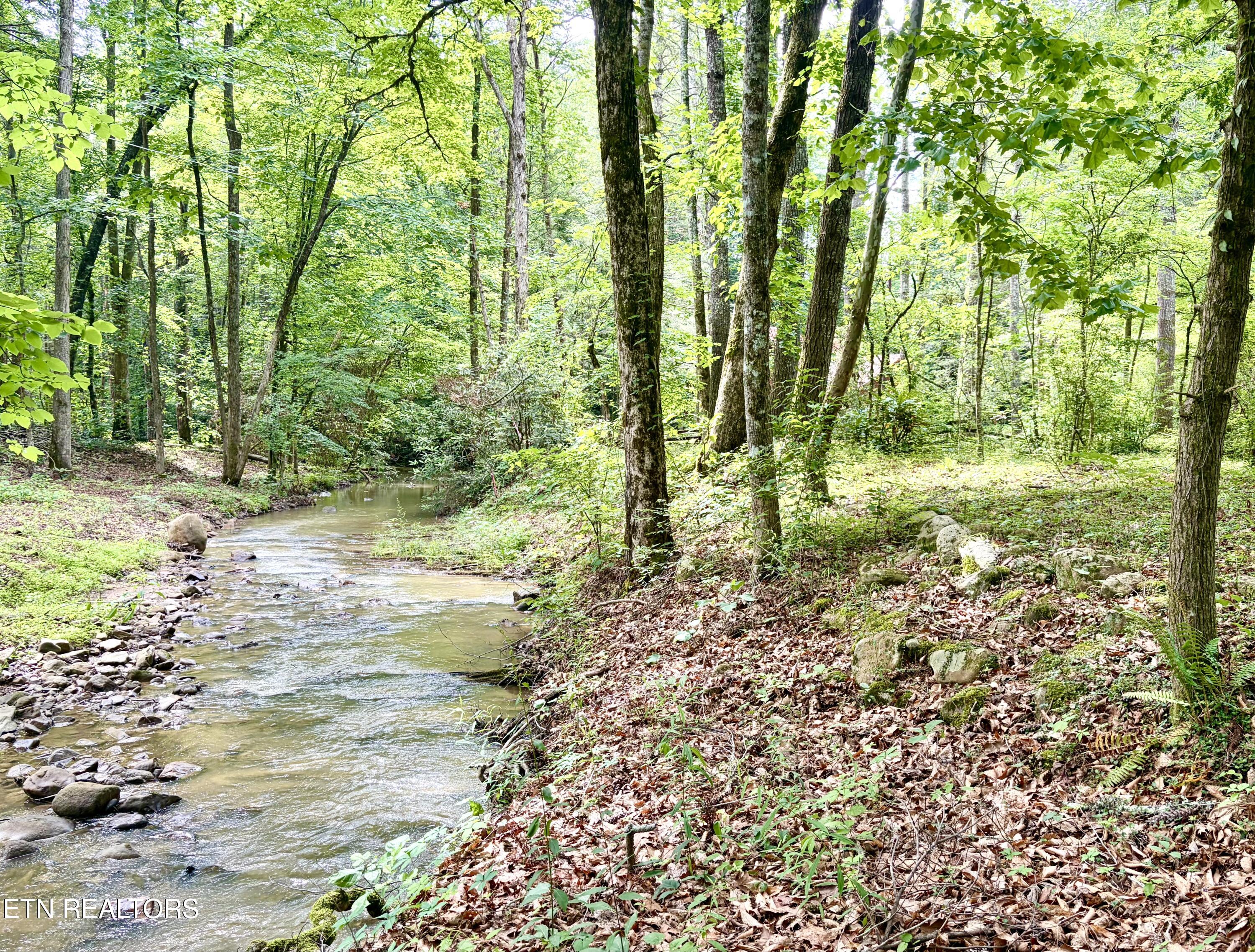 2876 Mcmahan Sawmill Road Sevierville TN 37862