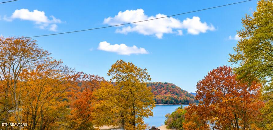 164 Dogwood Trail Maynardville TN 37807