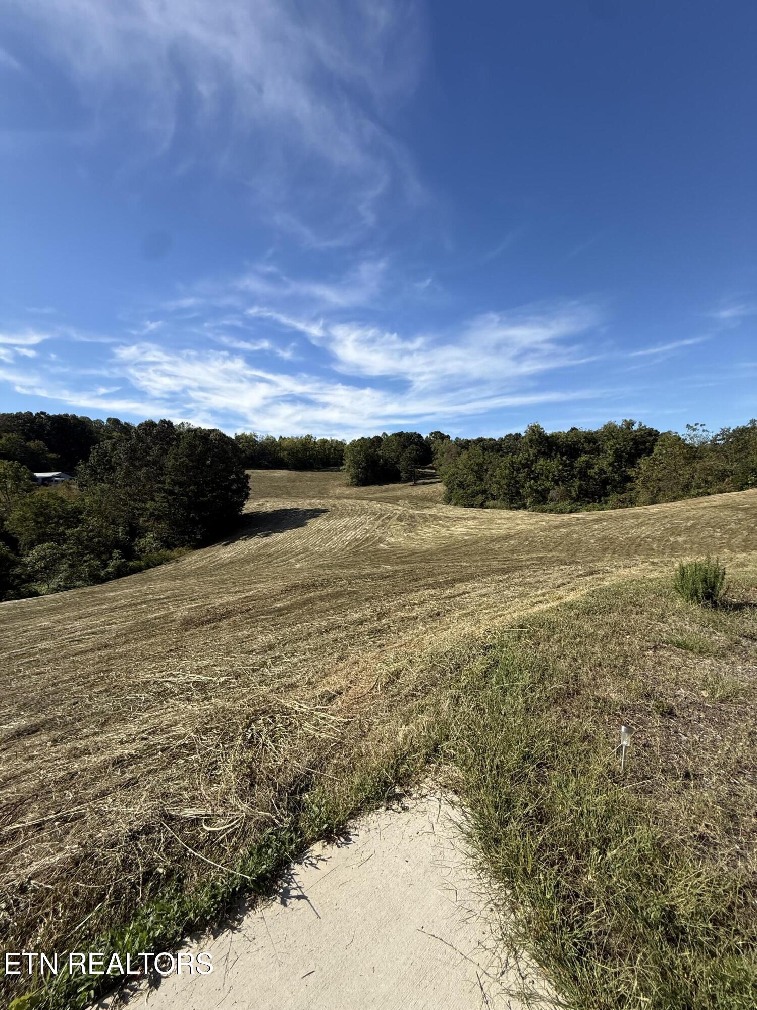 181 Holt Lane New Tazewell TN 37825