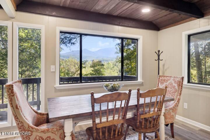 552 Galloway Lane Gatlinburg TN 37738