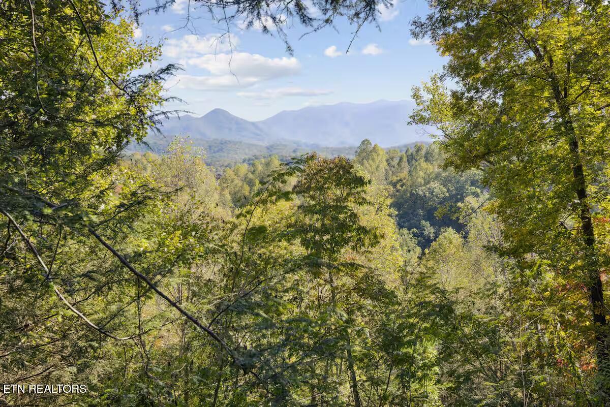 552 Galloway Lane Gatlinburg TN 37738