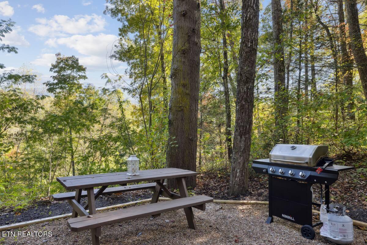 552 Galloway Lane Gatlinburg TN 37738