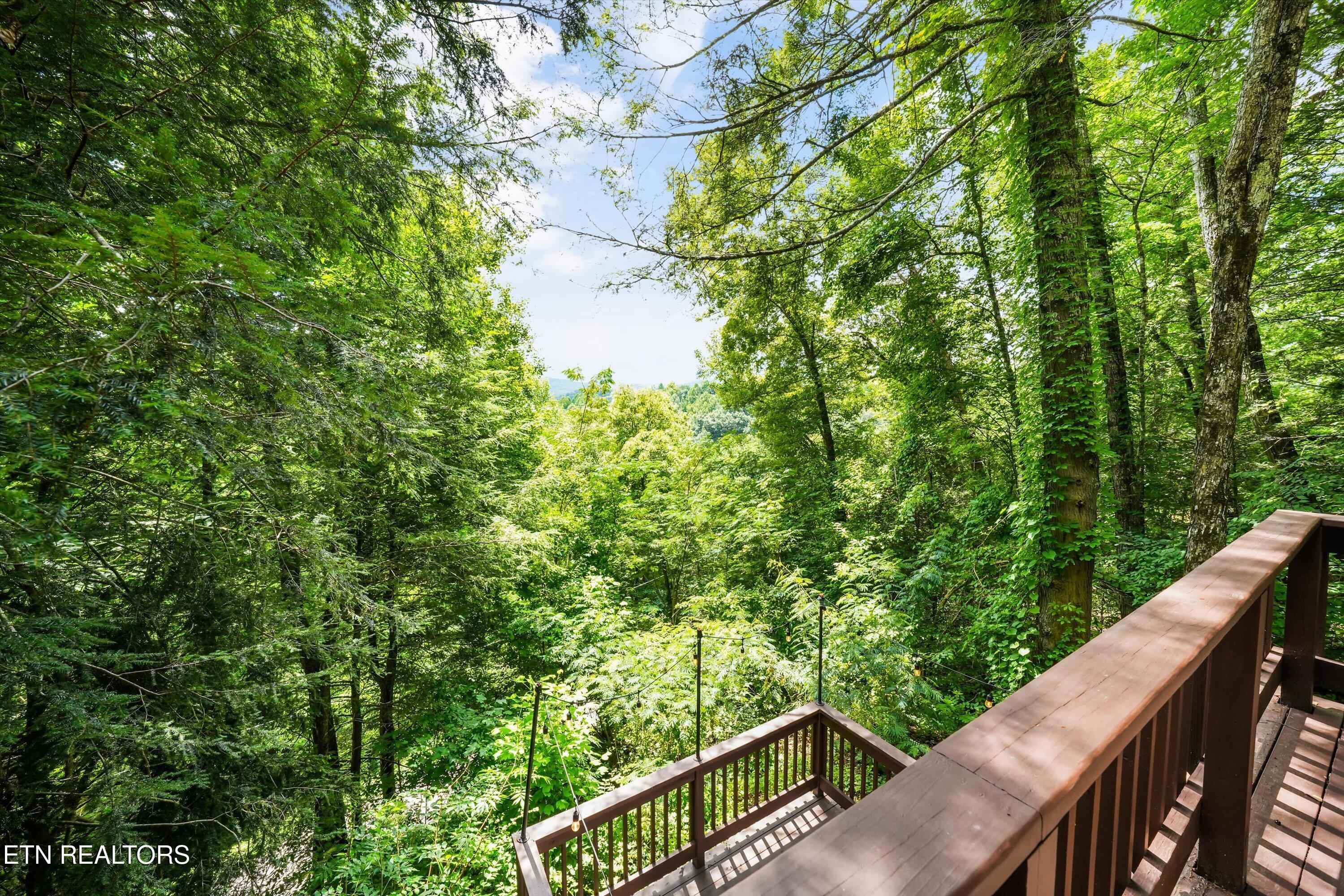 552 Galloway Lane Gatlinburg TN 37738