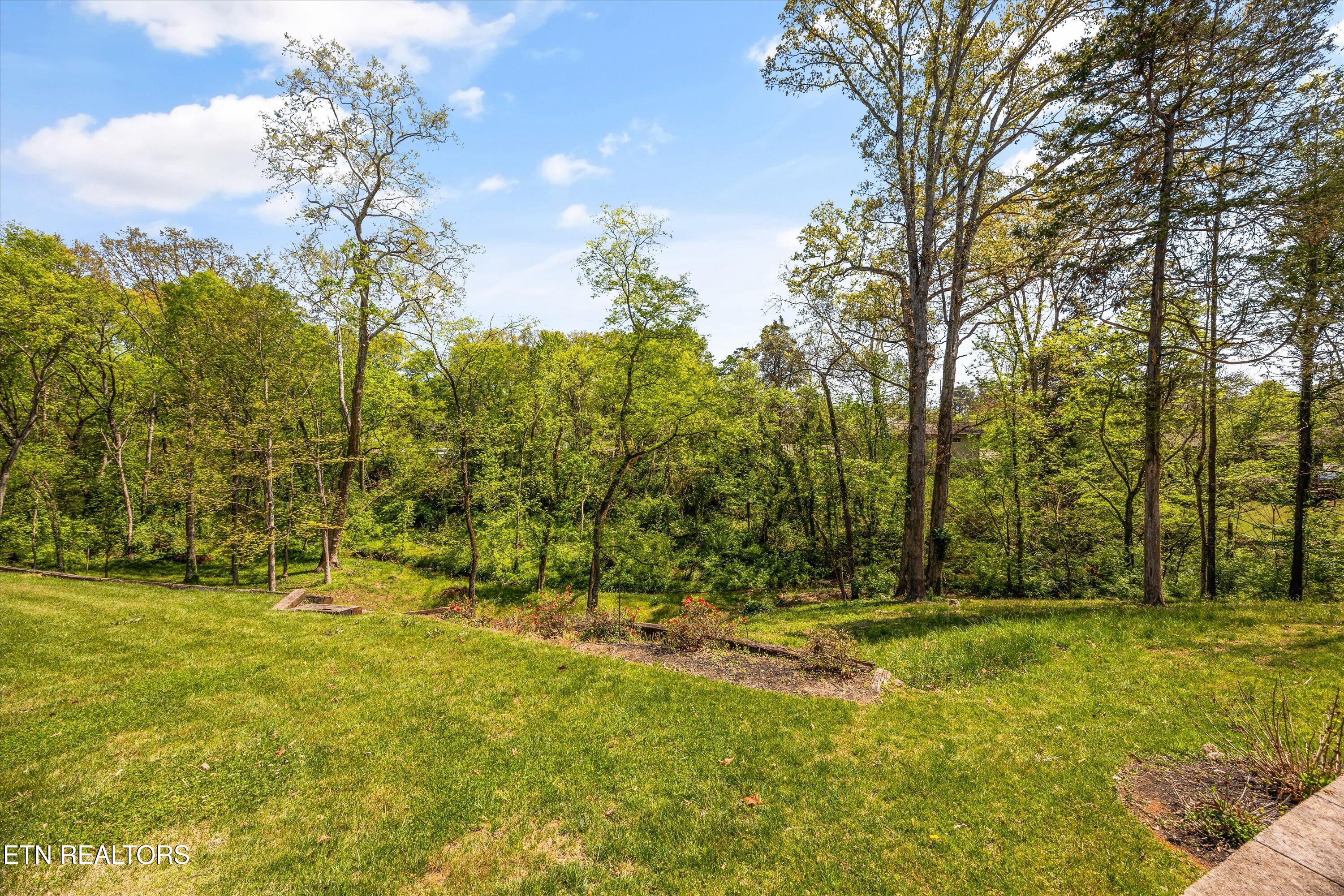 8904 Ormand Lane Knoxville TN 37923