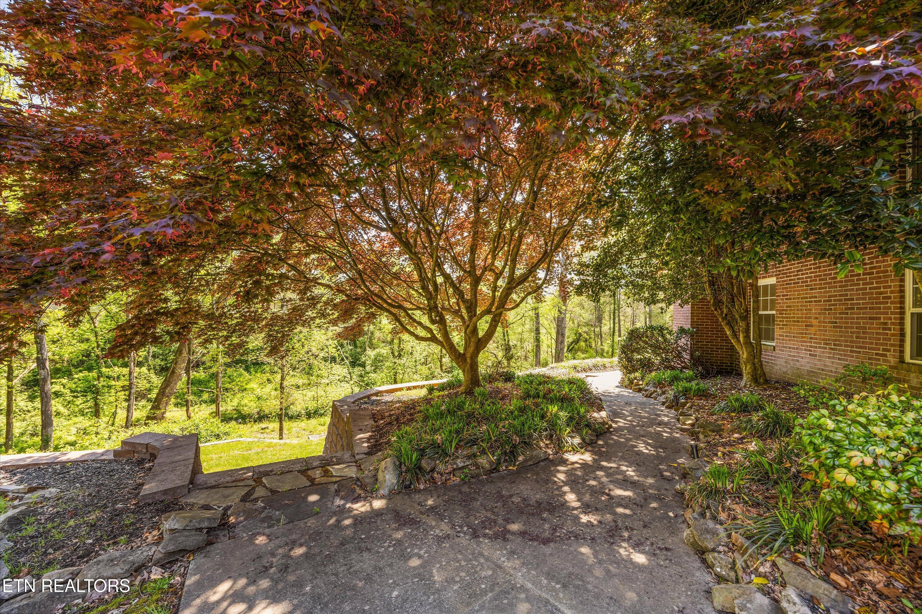 8904 Ormand Lane Knoxville TN 37923