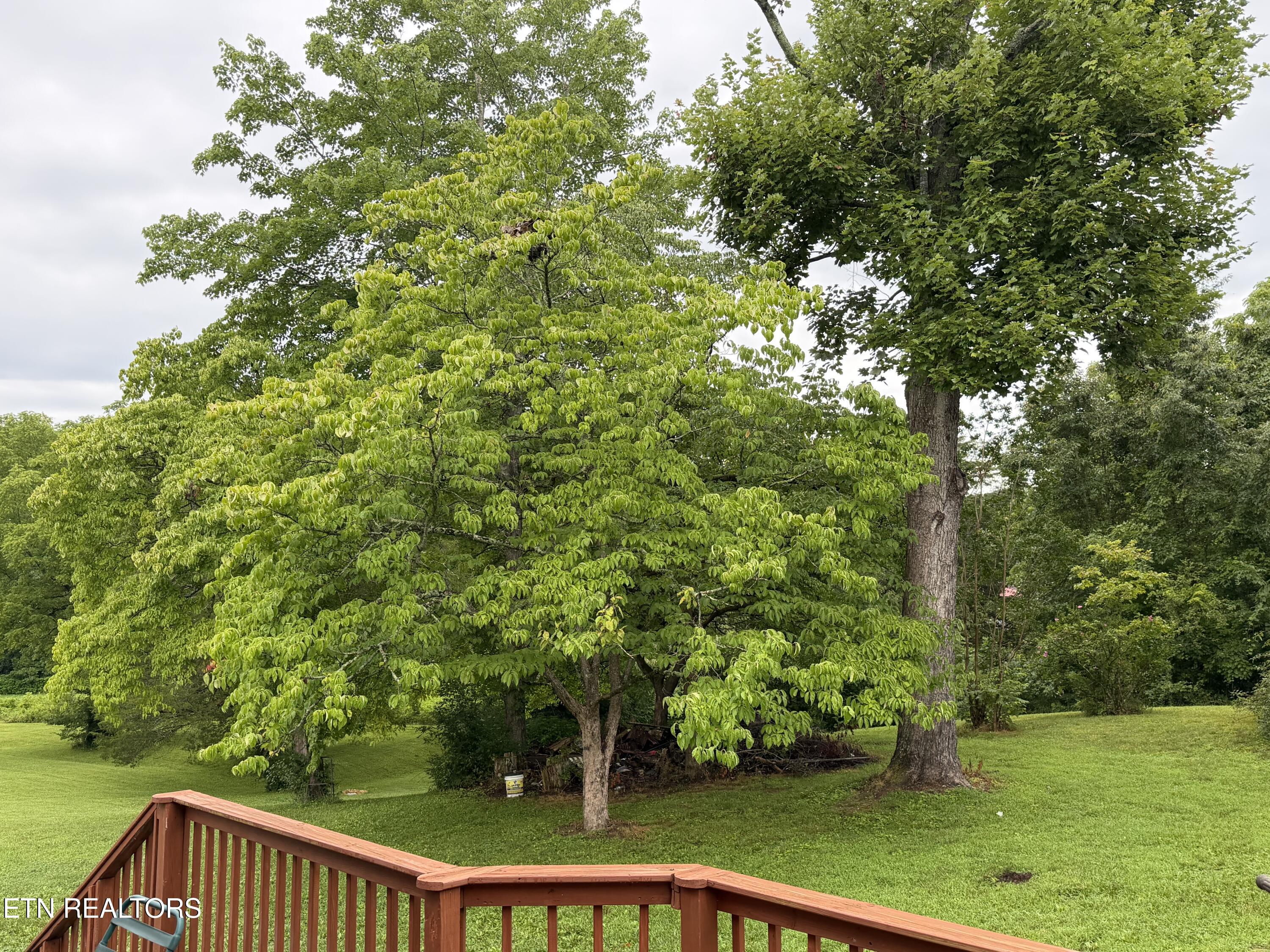 371 Pinecrest Road Jacksboro TN 37757