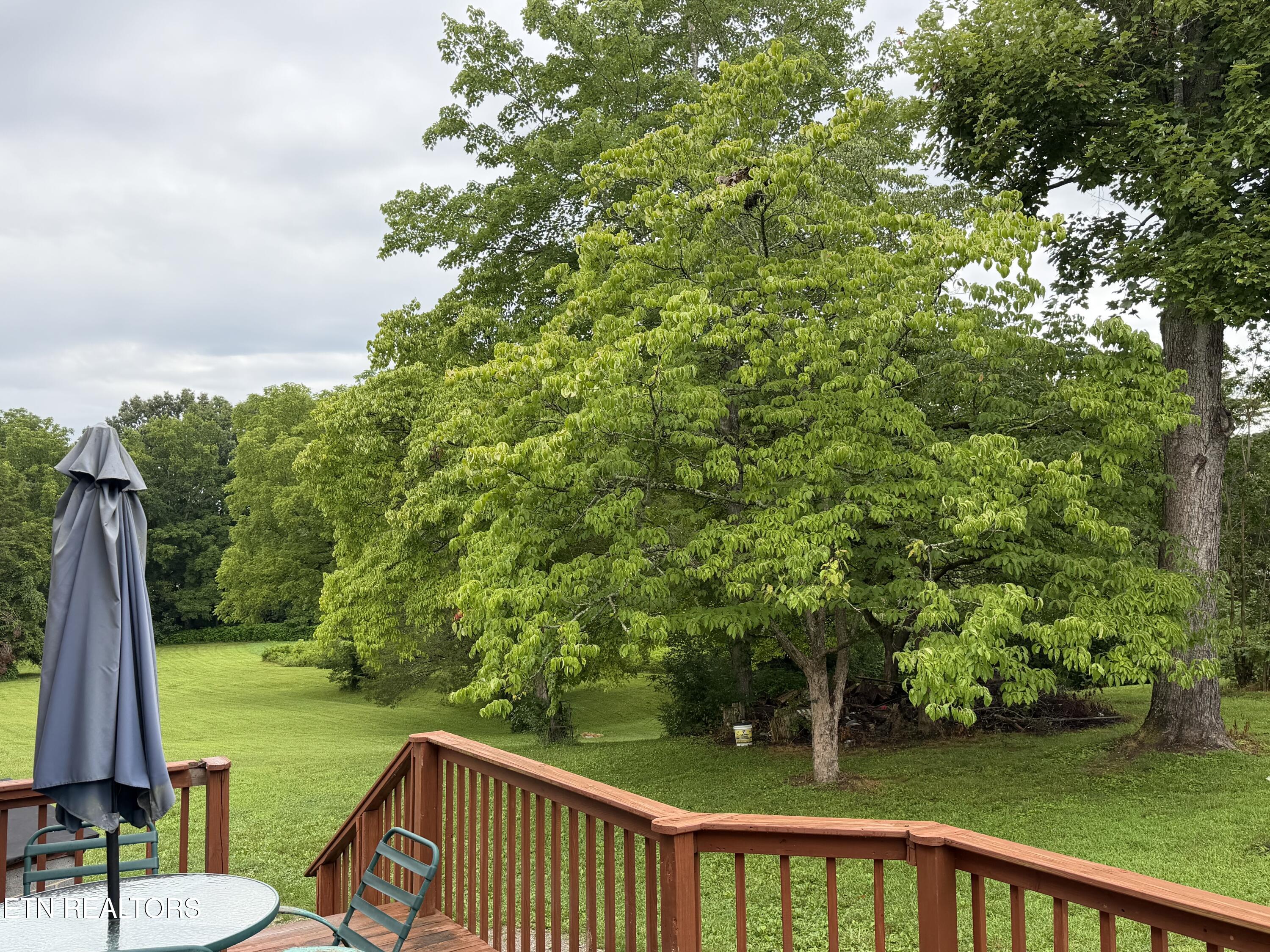 371 Pinecrest Road Jacksboro TN 37757