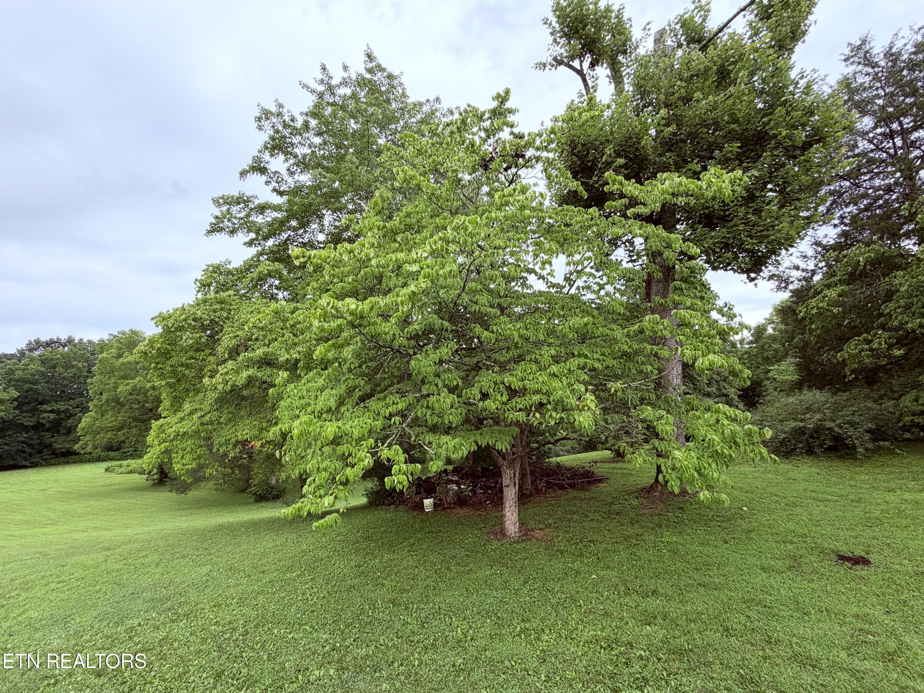 371 Pinecrest Road Jacksboro TN 37757