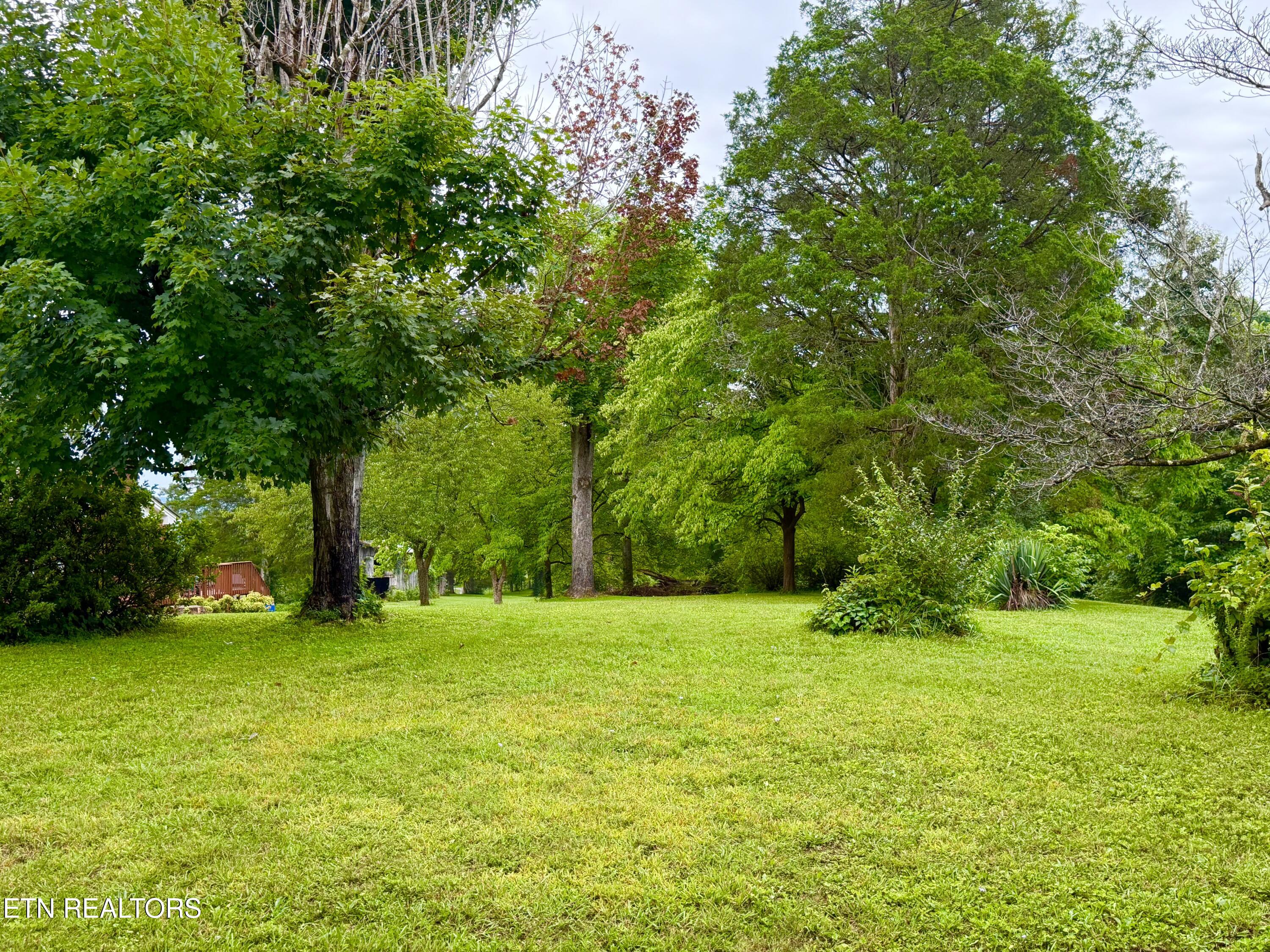 371 Pinecrest Road Jacksboro TN 37757