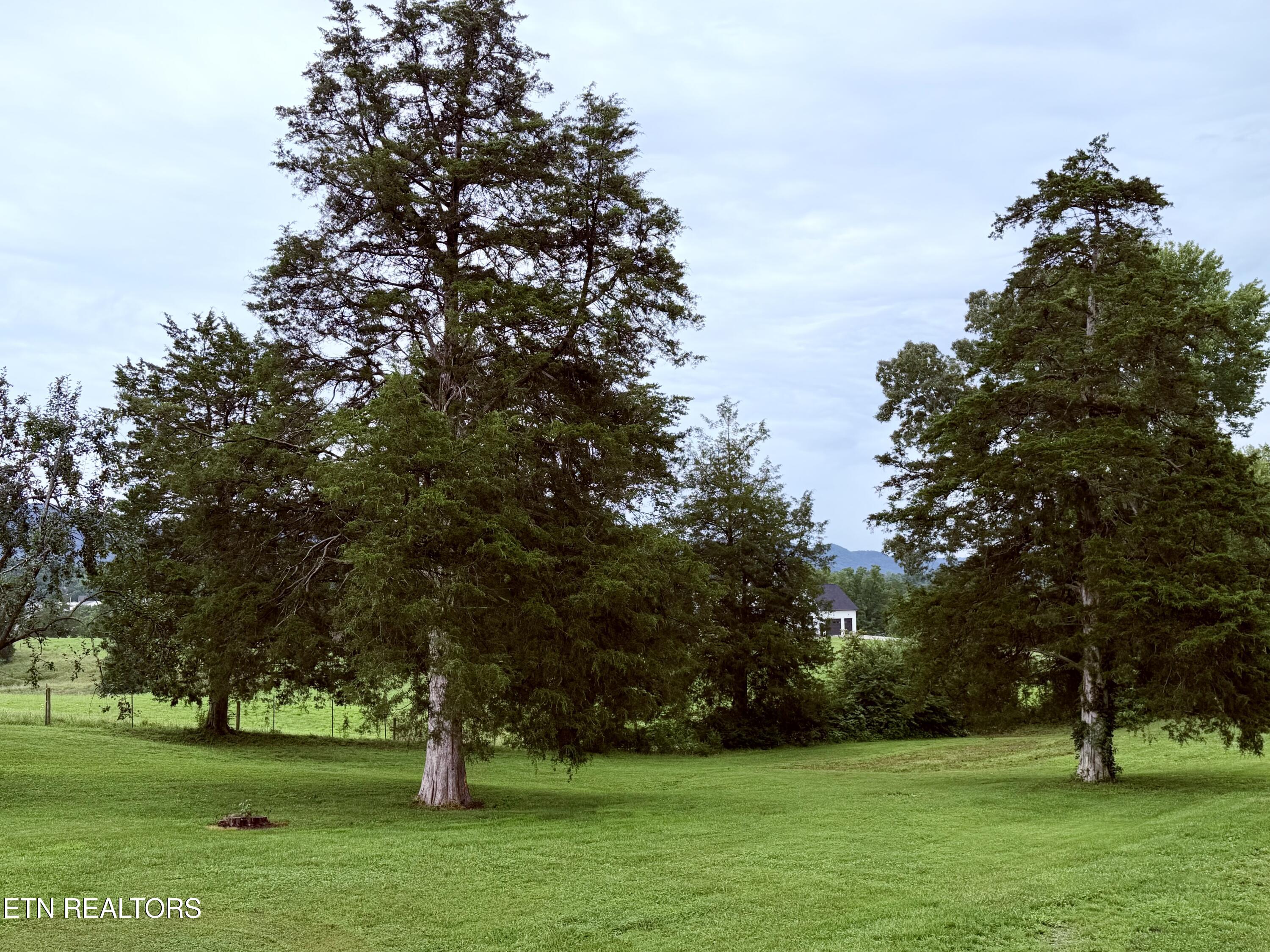 371 Pinecrest Road Jacksboro TN 37757