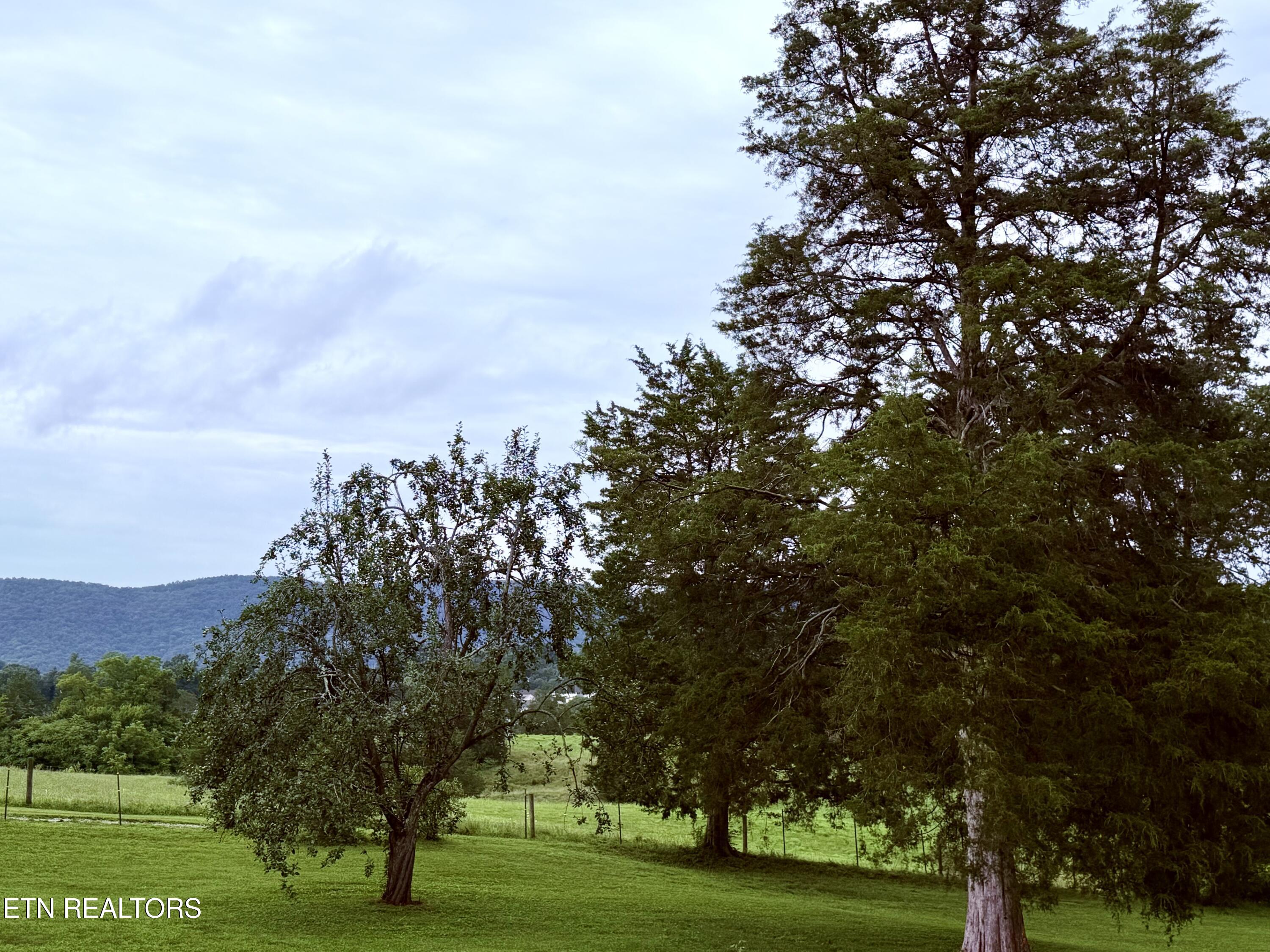 371 Pinecrest Road Jacksboro TN 37757