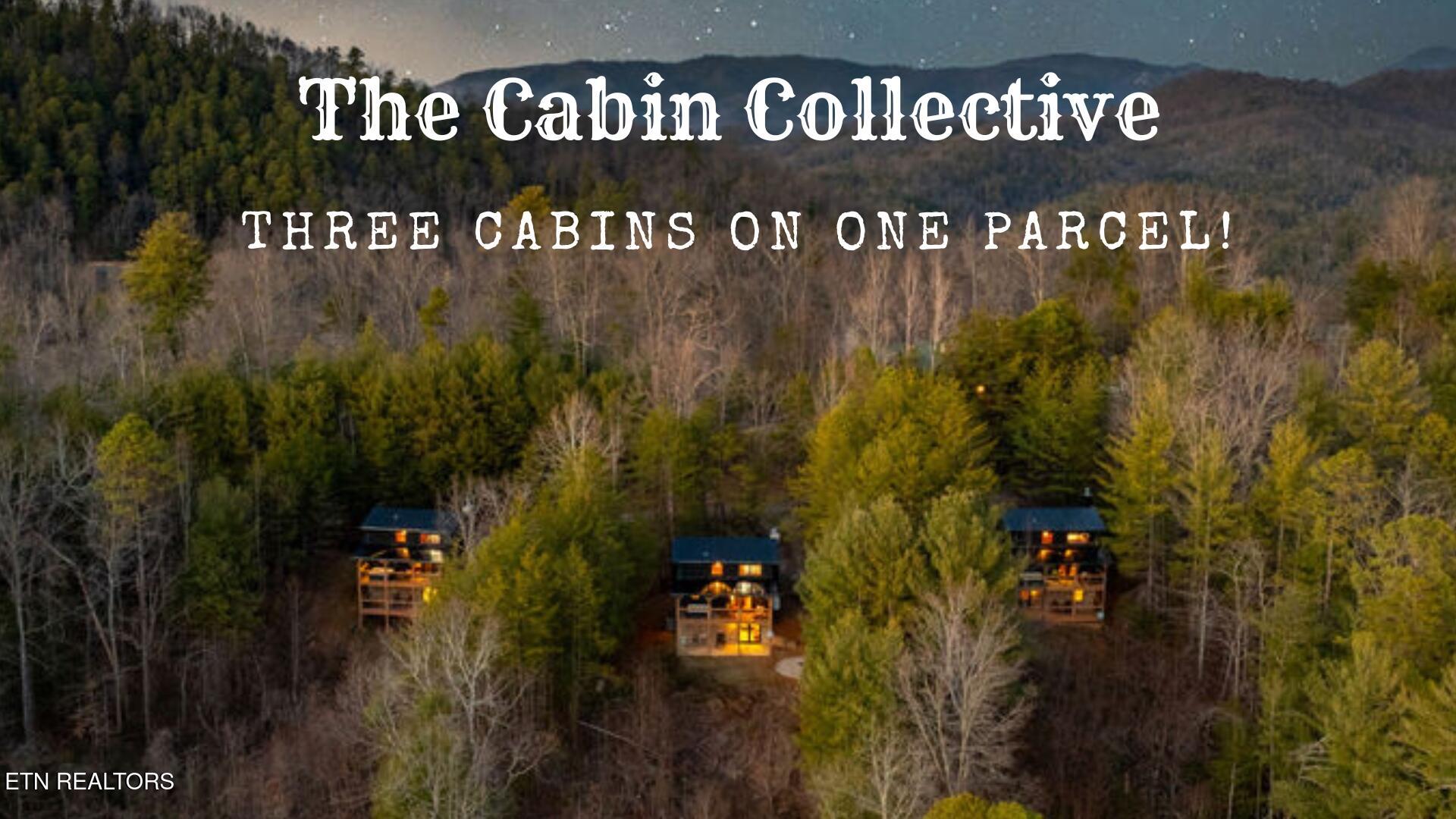 4210 Mountain Rest Way Sevierville TN 37876