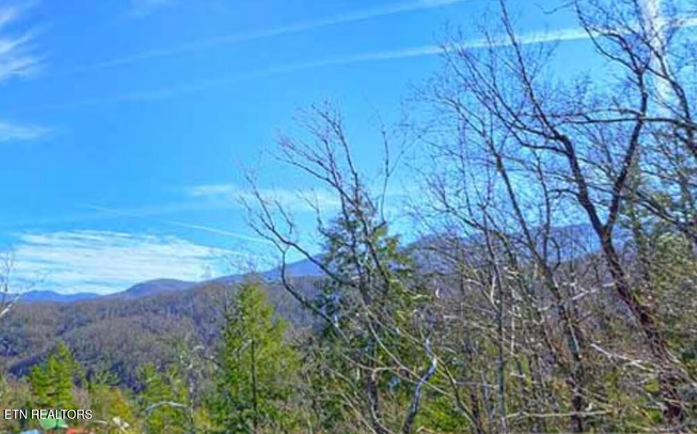 1779 Mountain Shadows Way Gatlinburg TN 37738