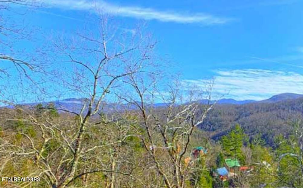 1779 Mountain Shadows Way Gatlinburg TN 37738