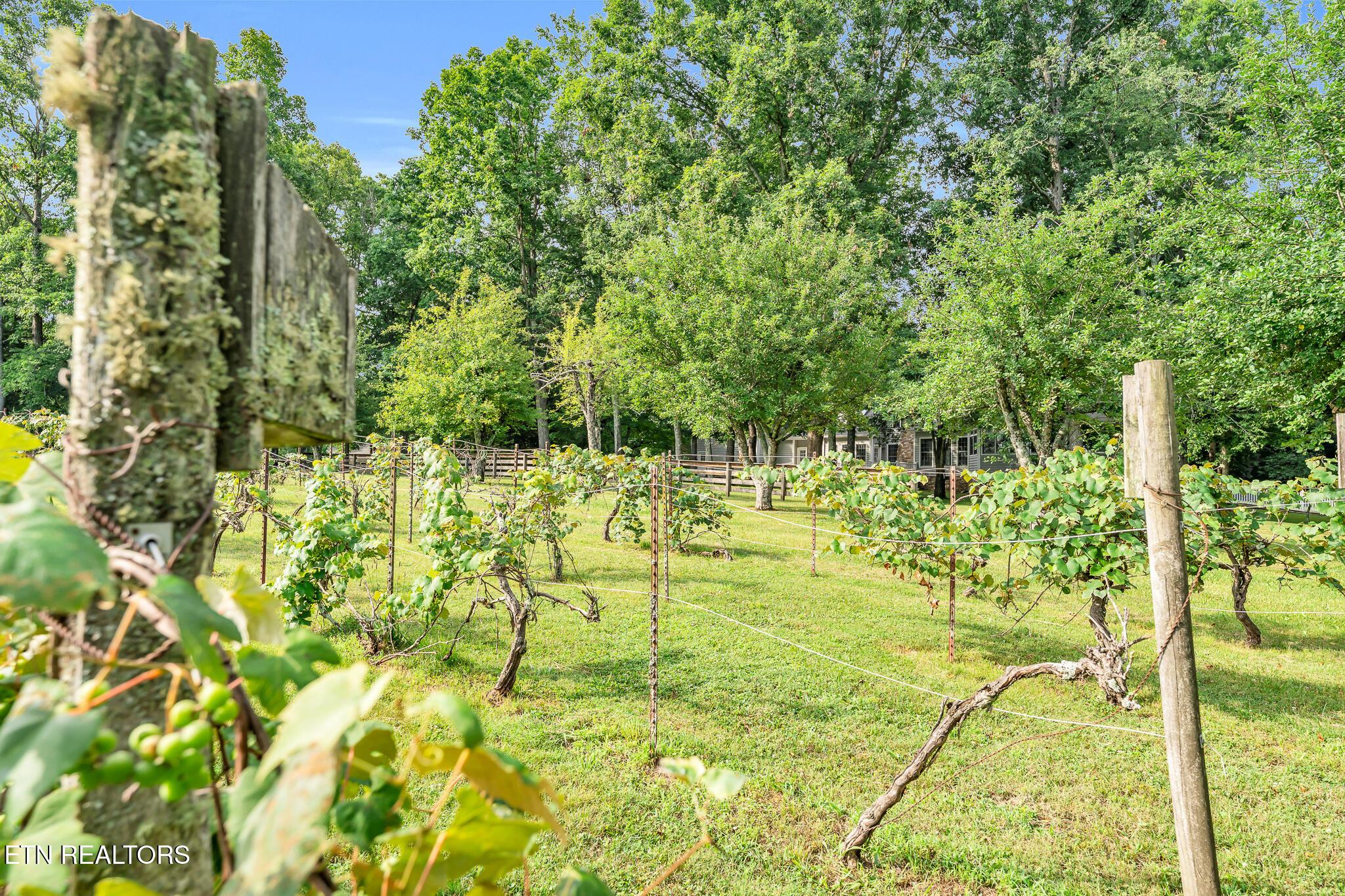 2570 Martha Washington Road Clarkrange TN 38553